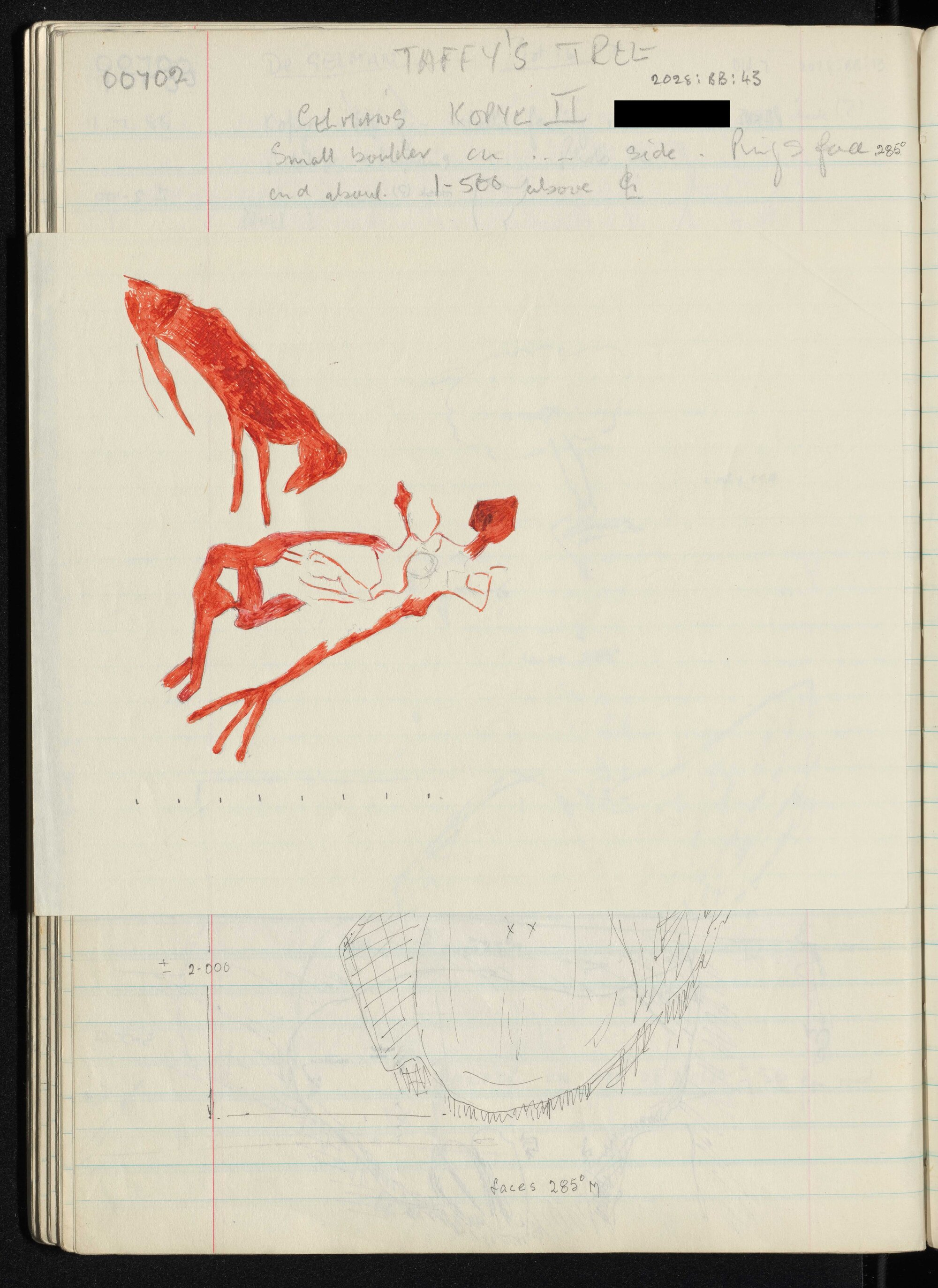 Peter Genge field notes. 00702-00703, insert