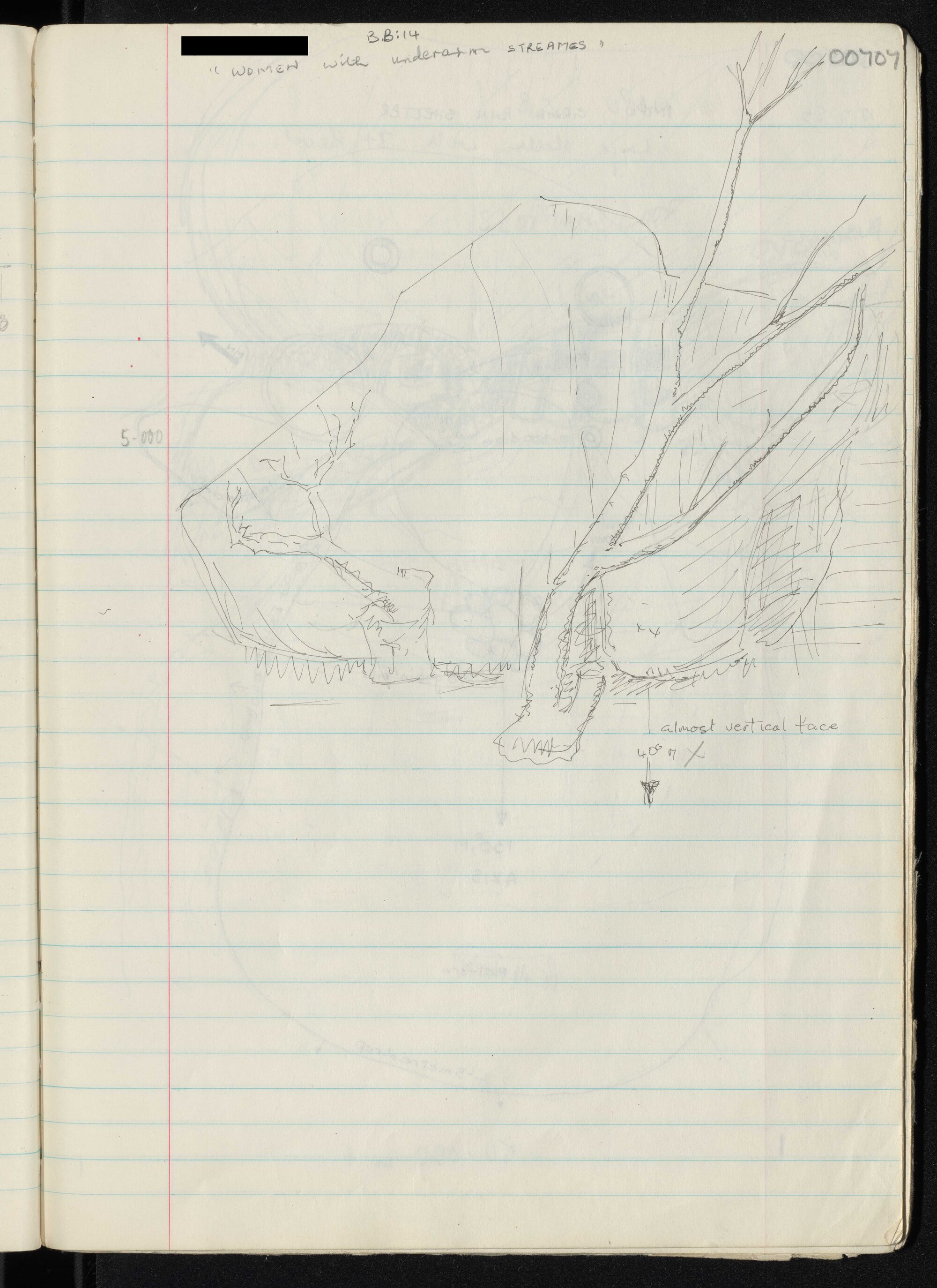 Peter Genge field notes. 00707