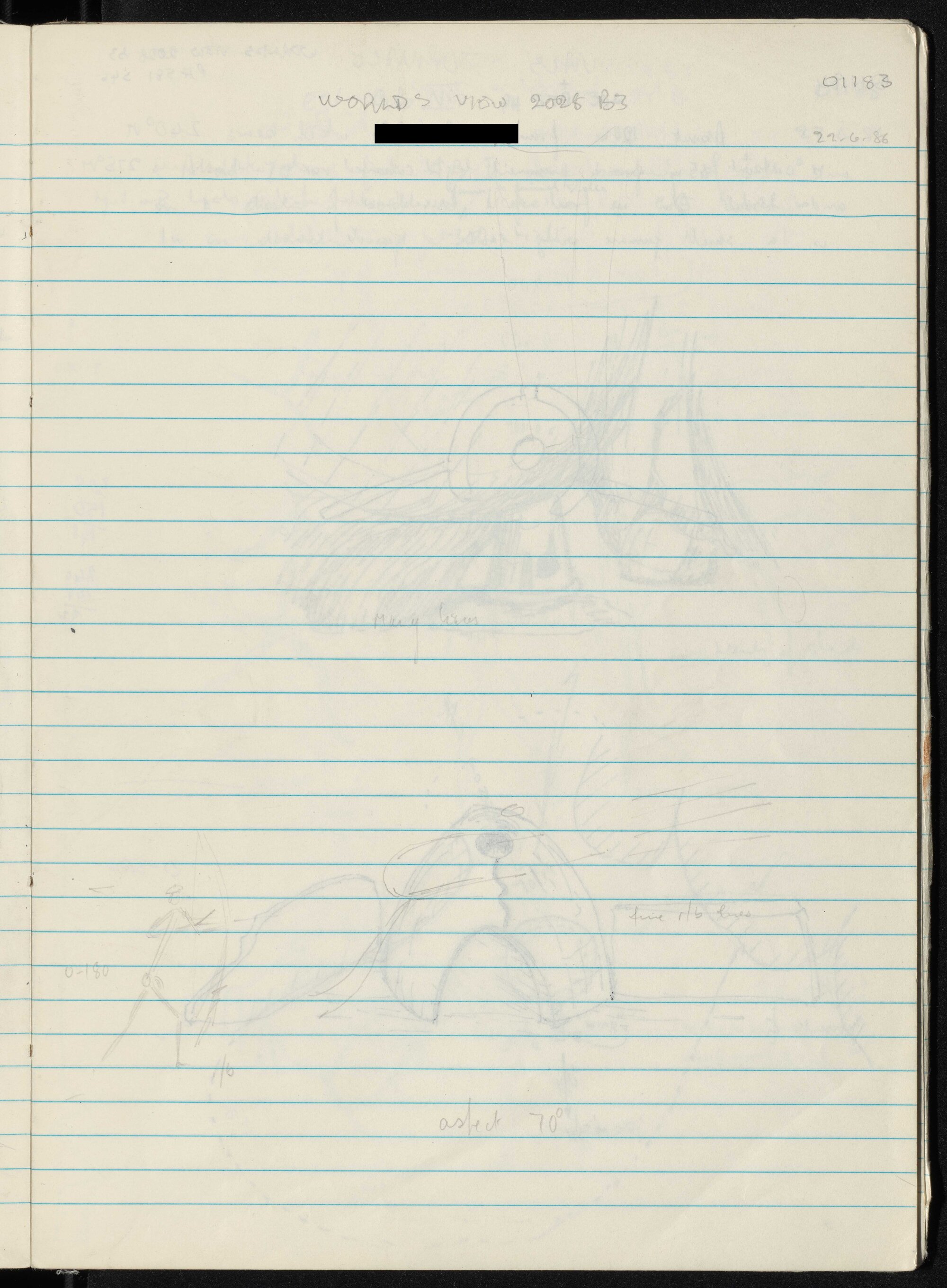 Peter Genge field notes. 01183