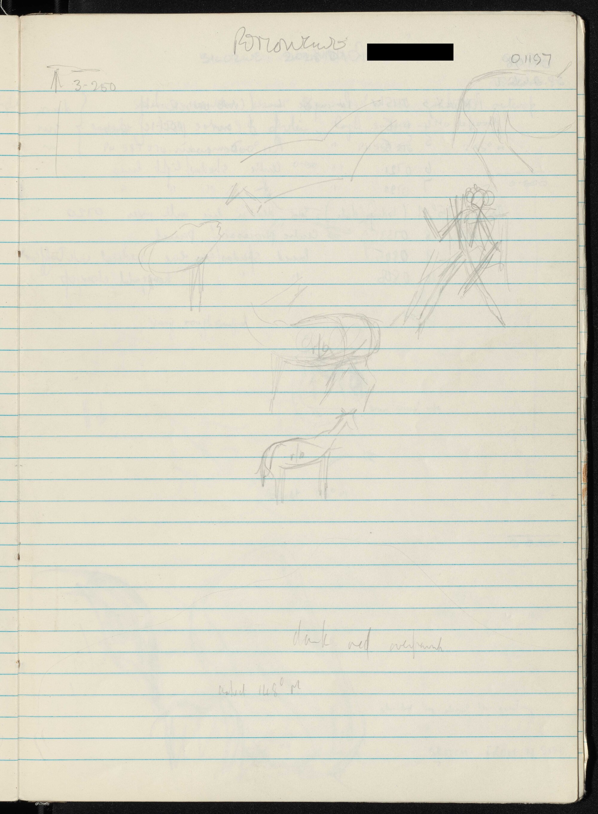 Peter Genge field notes. 01197