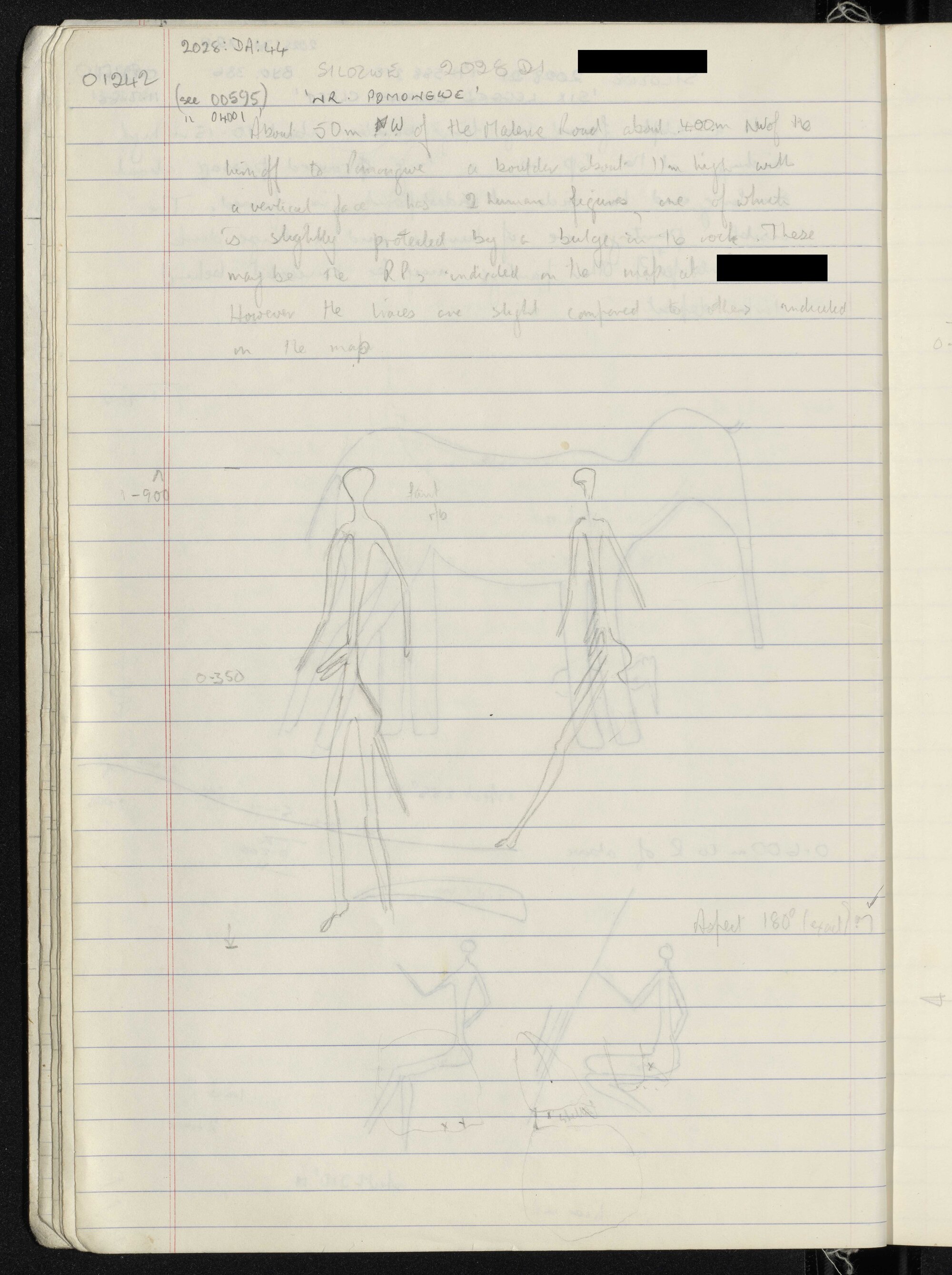 Peter Genge field notes. 01242