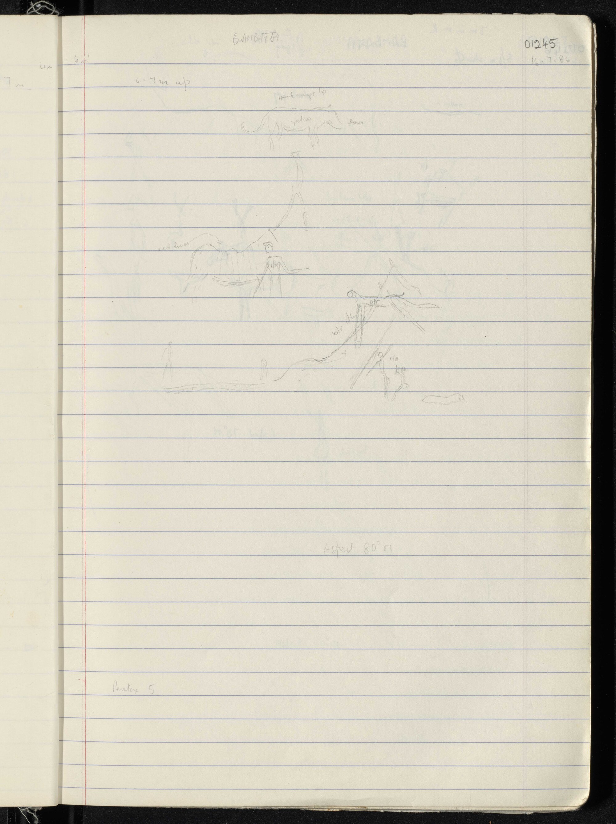 Peter Genge field notes. 01245
