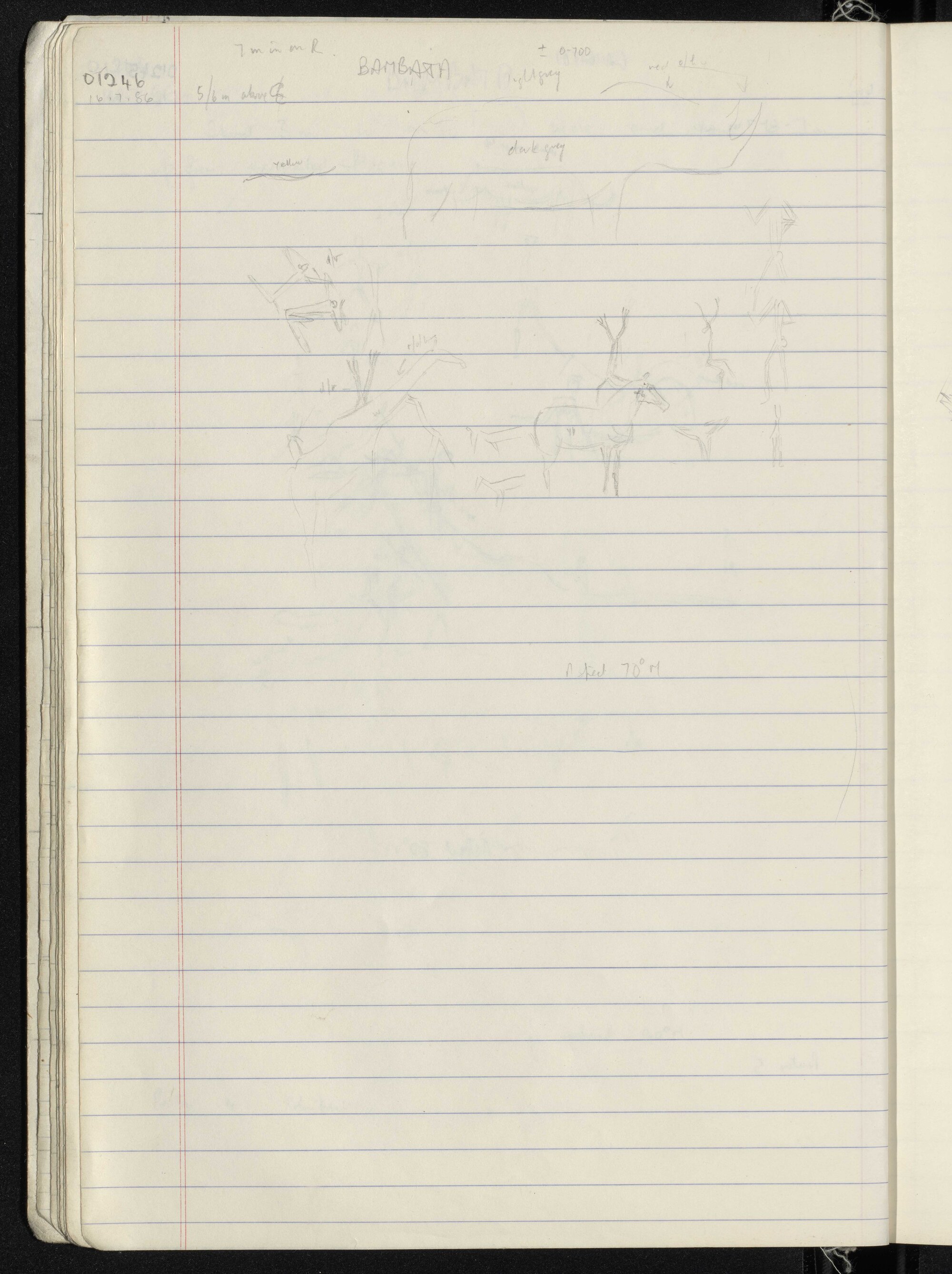 Peter Genge field notes. 01246