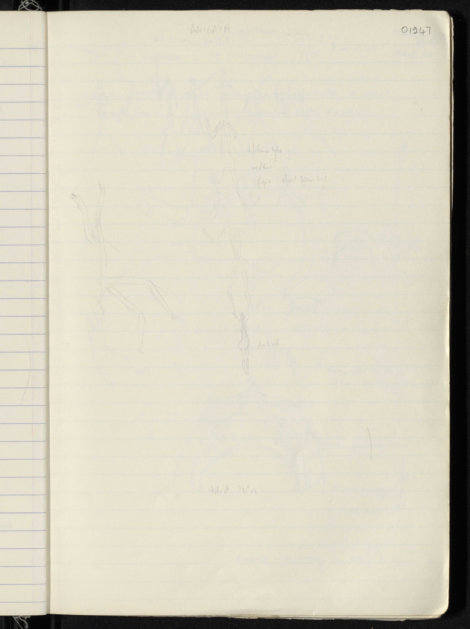 Peter Genge field notes. 01247