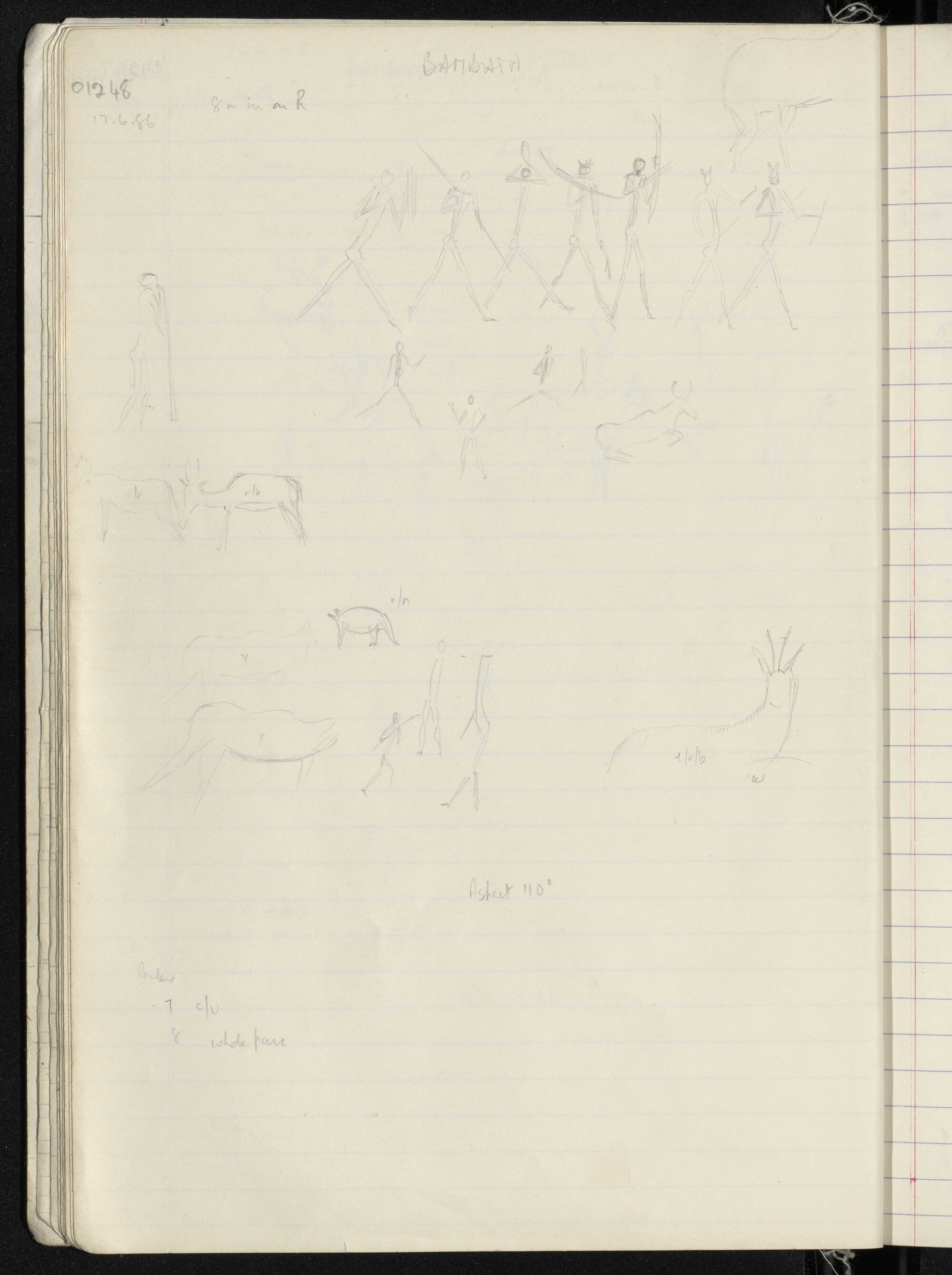 Peter Genge field notes. 01248