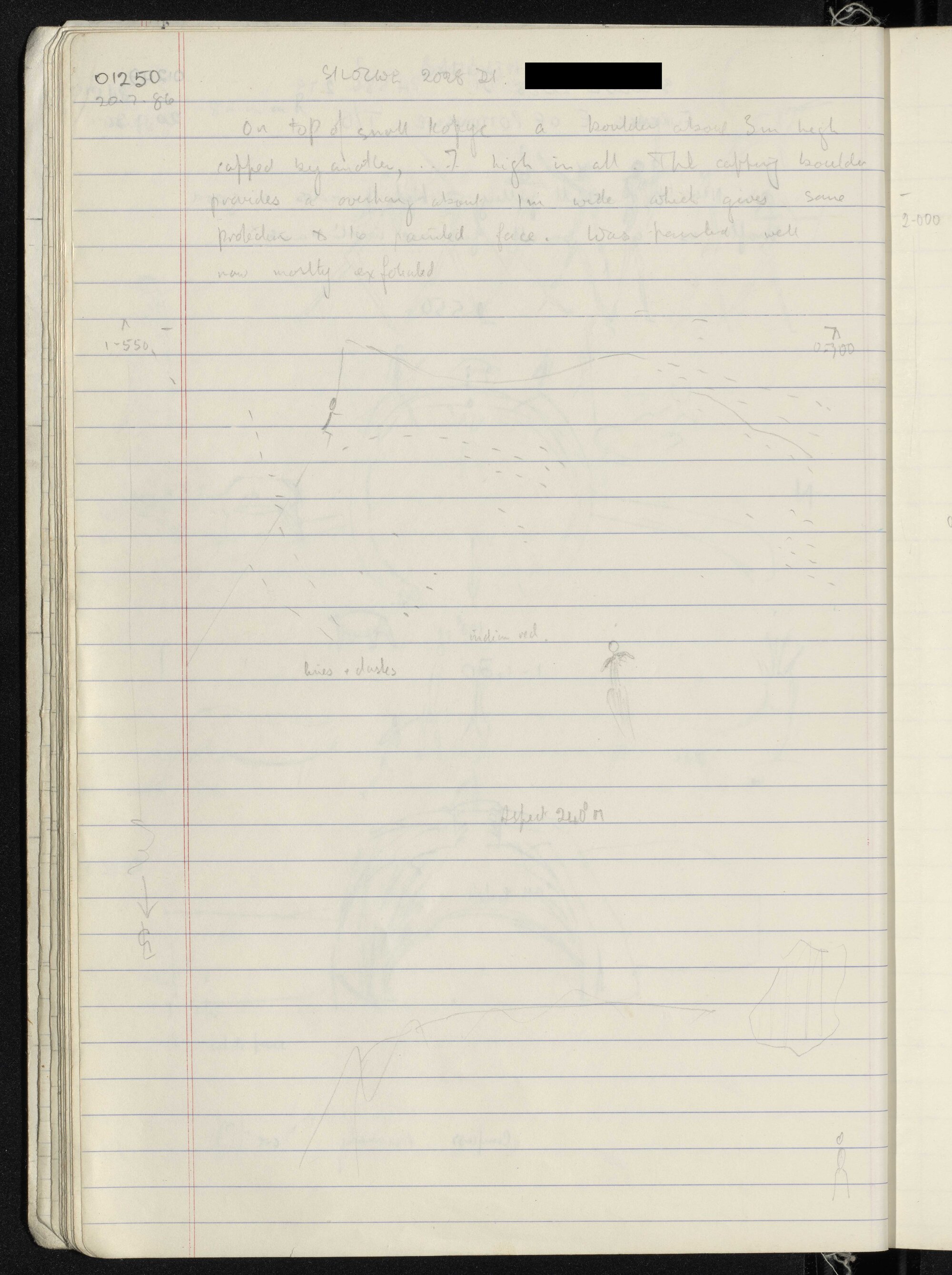 Peter Genge field notes. 01250
