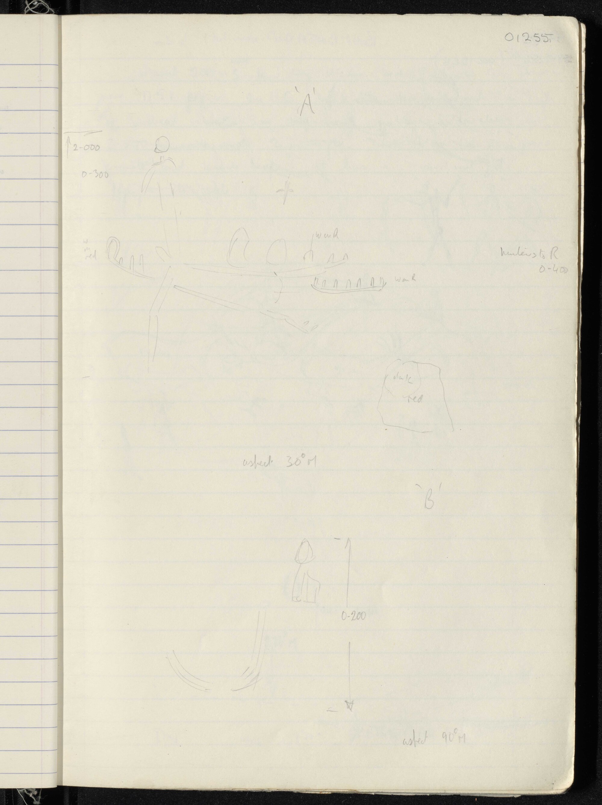 Peter Genge field notes. 01255