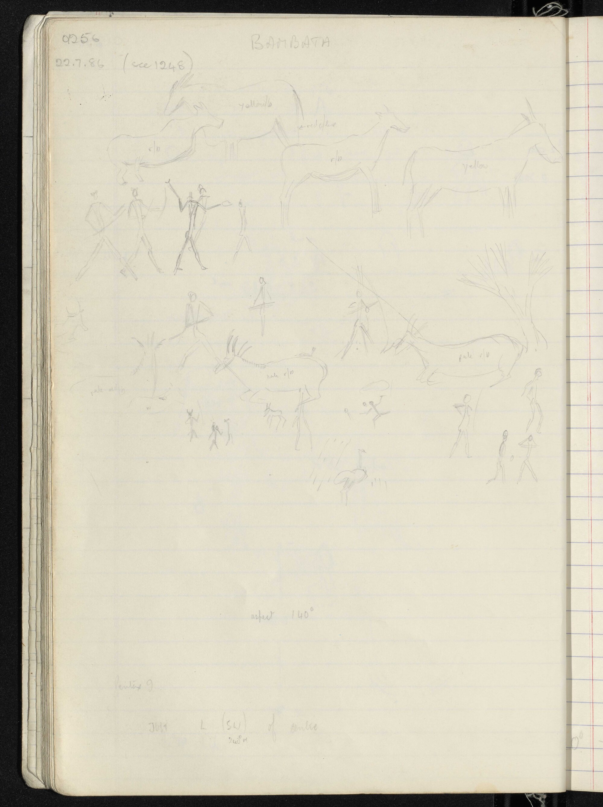 Peter Genge field notes. 01256