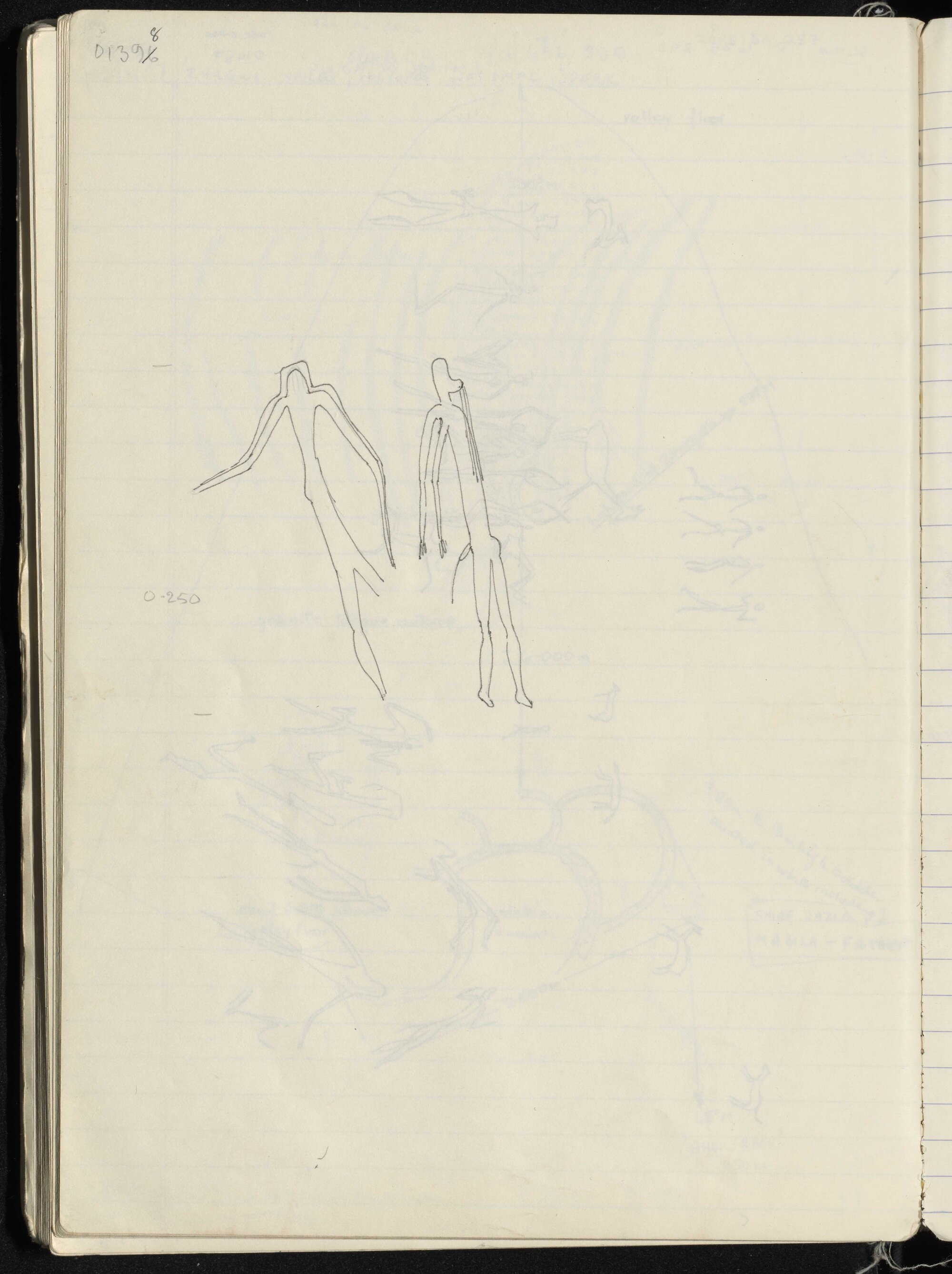 Peter Genge field notes. 01398