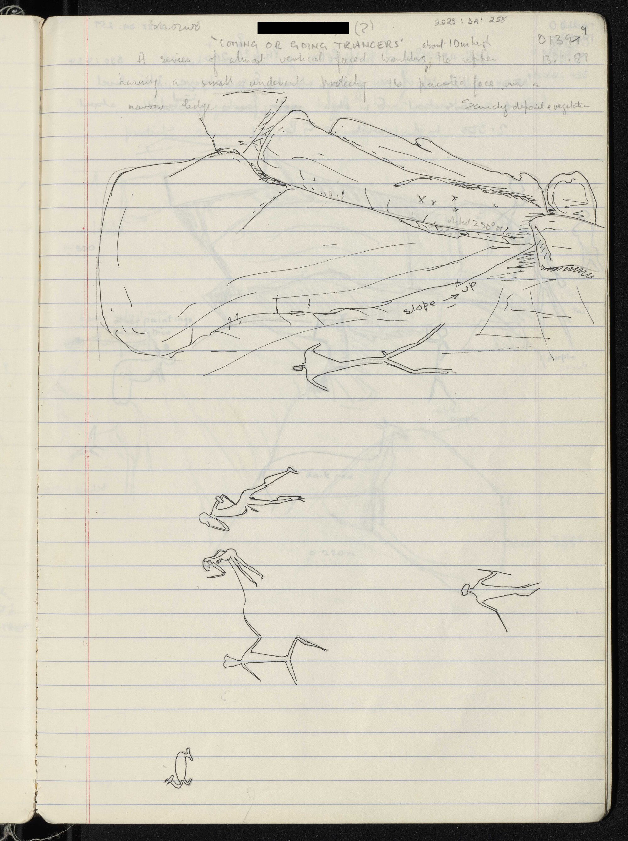 Peter Genge field notes. 01399