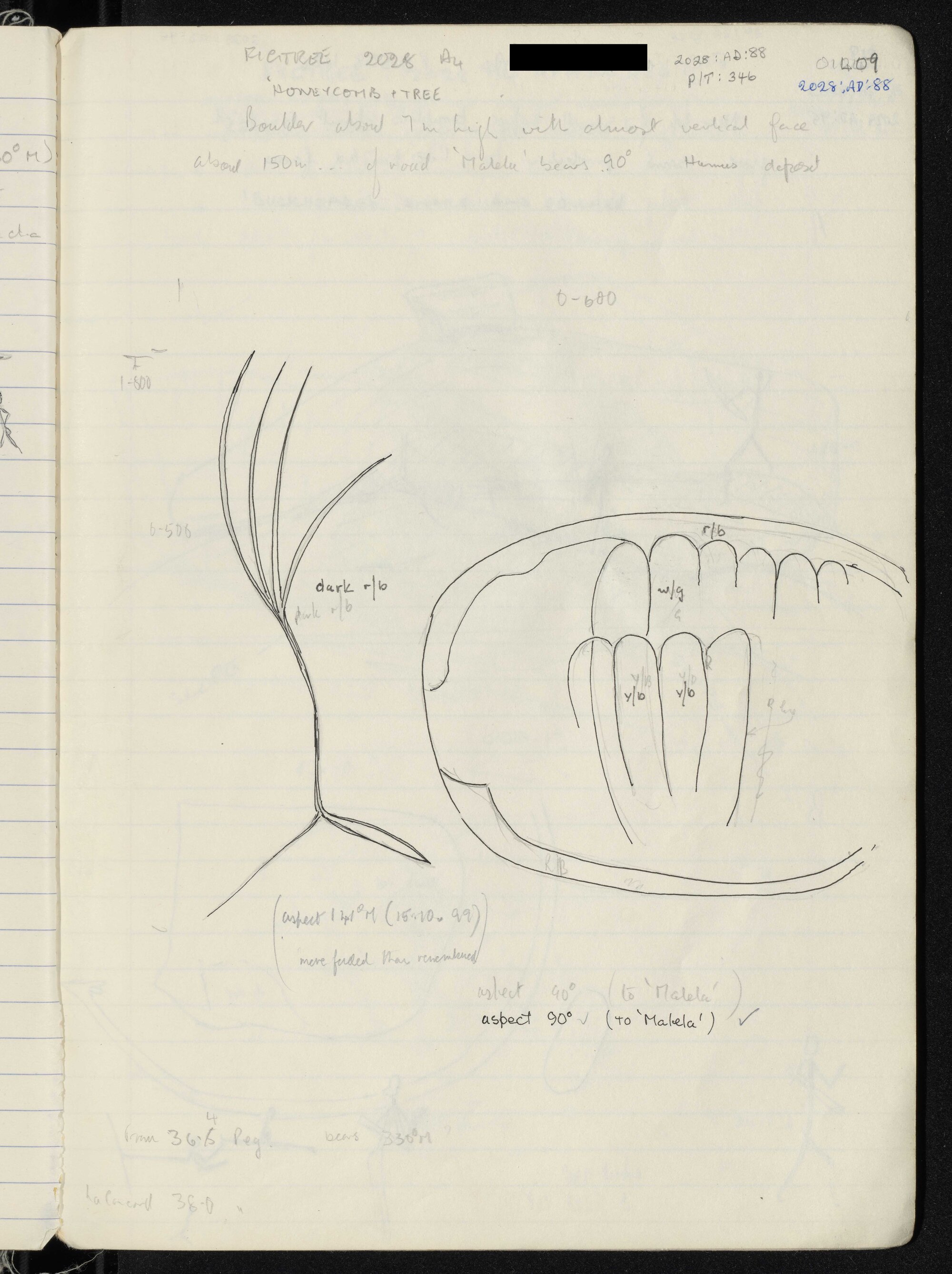 Peter Genge field notes. 01409