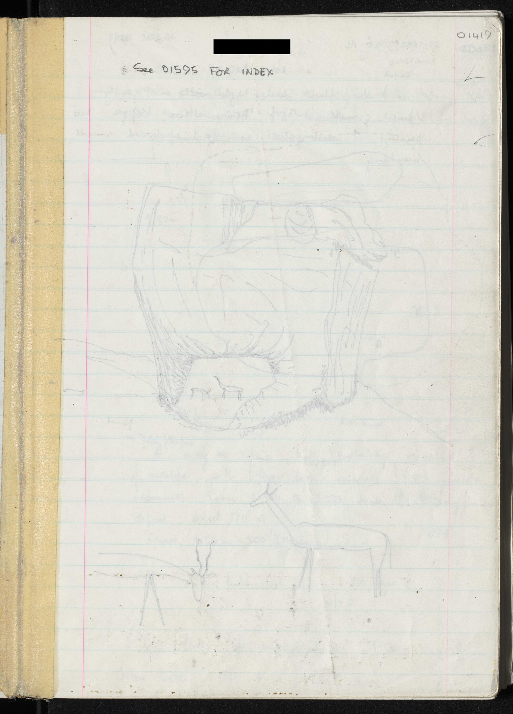 Peter Genge field notes. 01419