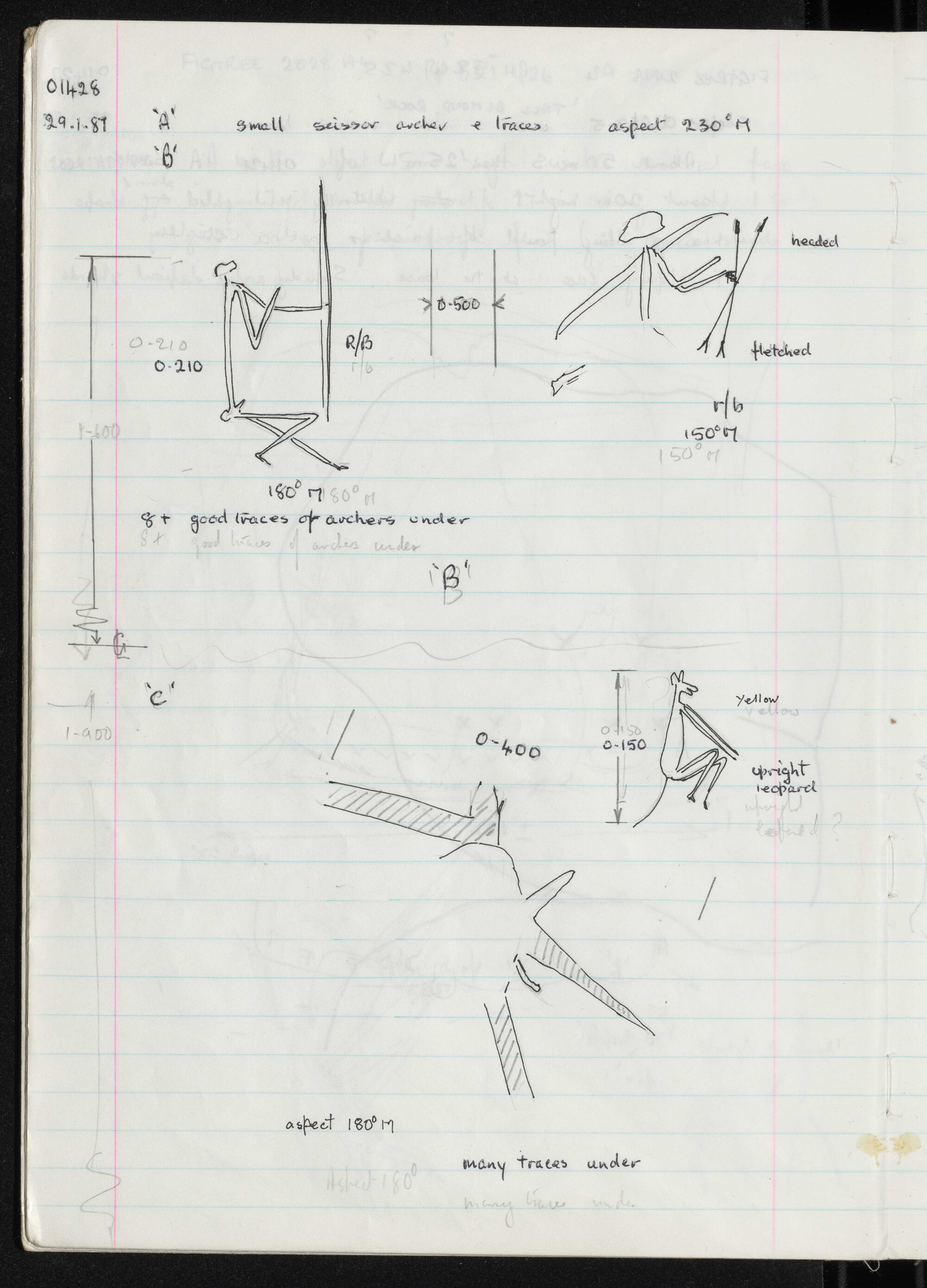 Peter Genge field notes. 01428