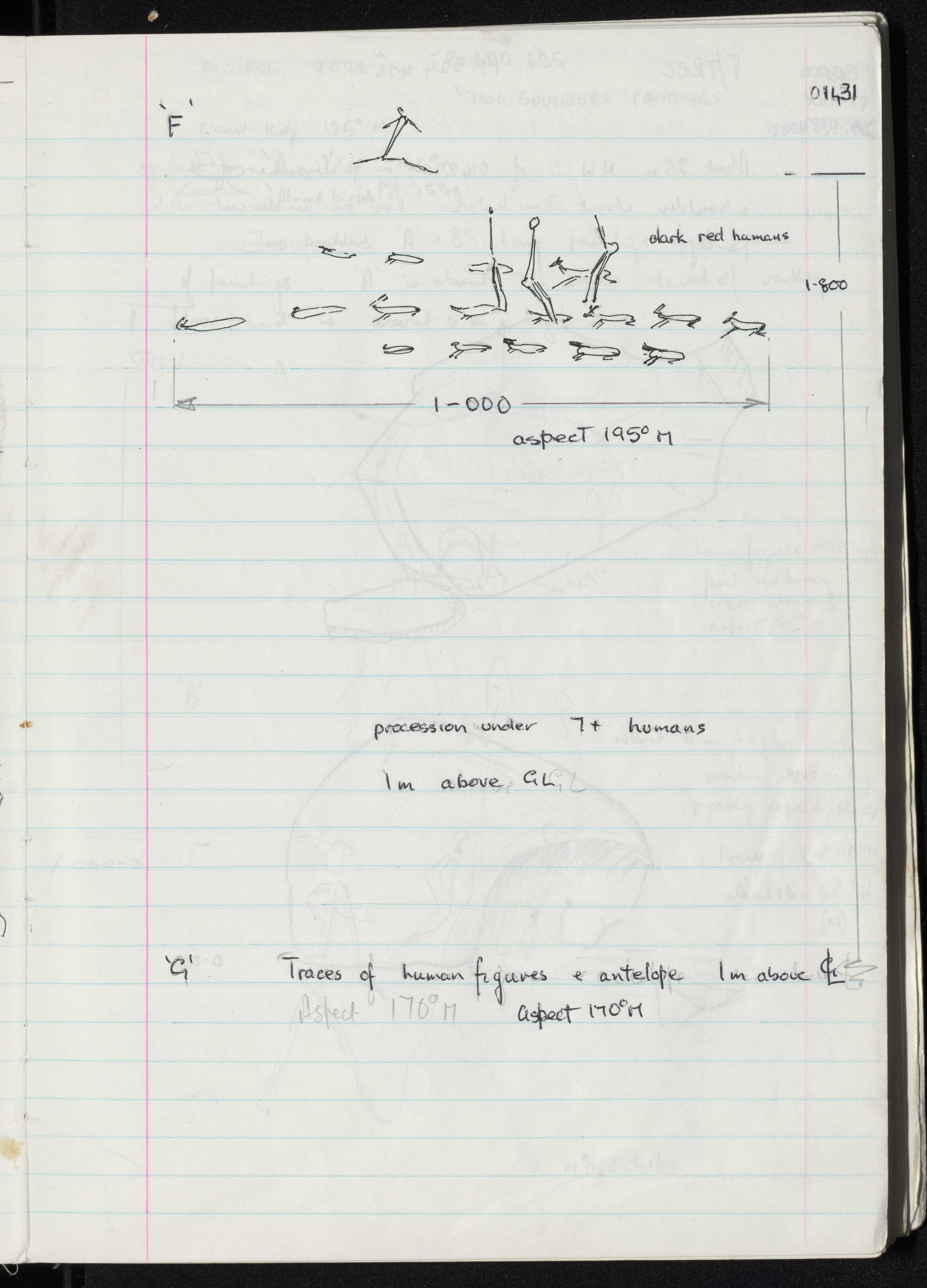 Peter Genge field notes. 01431
