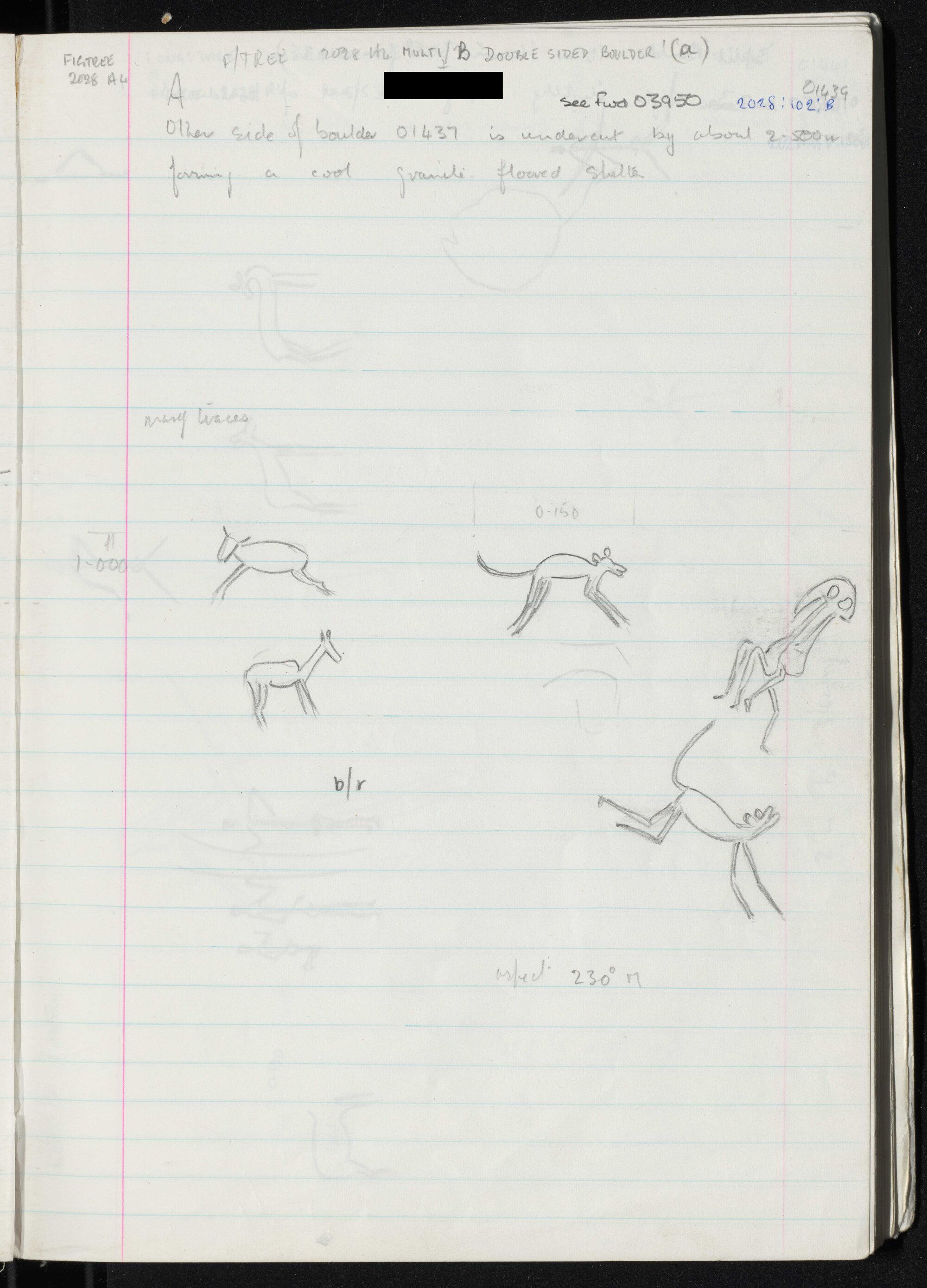 Peter Genge field notes. 01439
