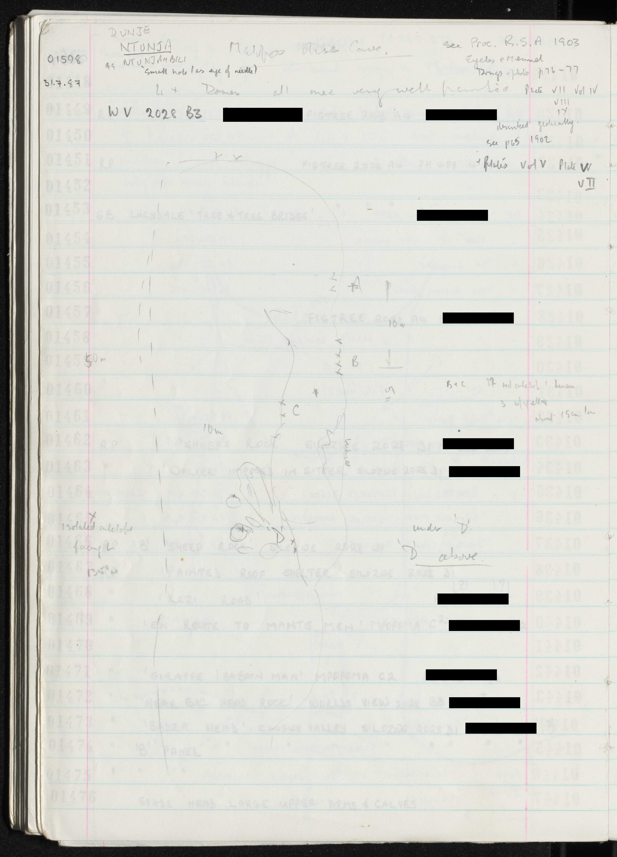 Peter Genge field notes. 01598