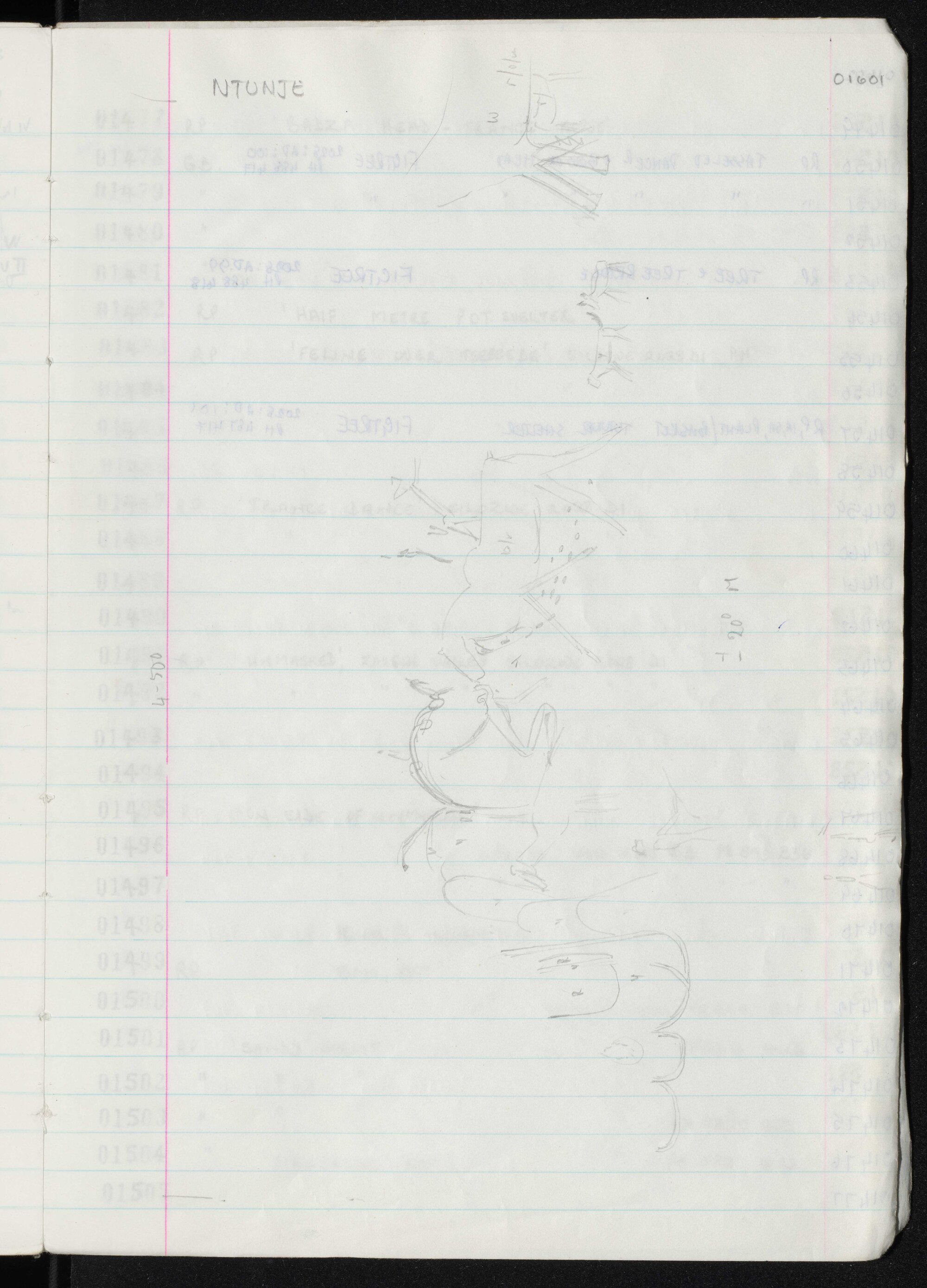 Peter Genge field notes. 01601