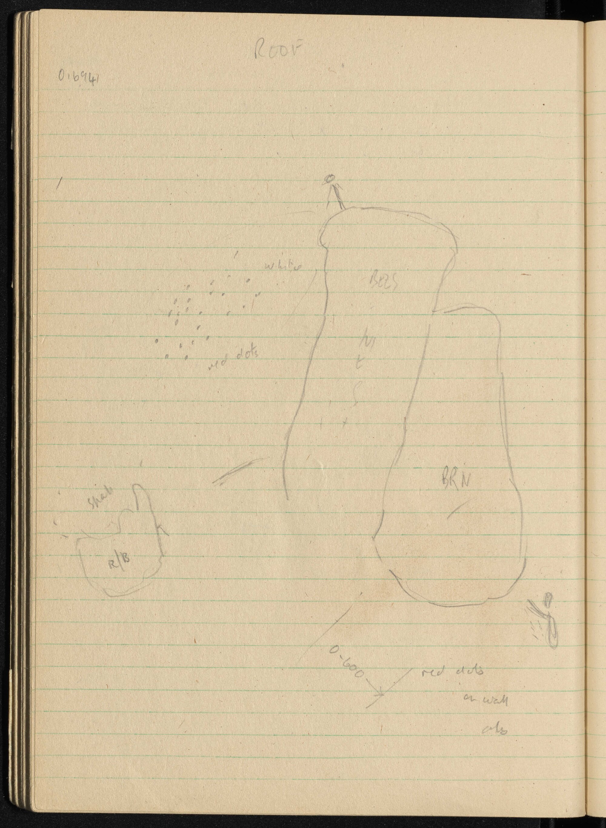 Peter Genge field notes. 01694