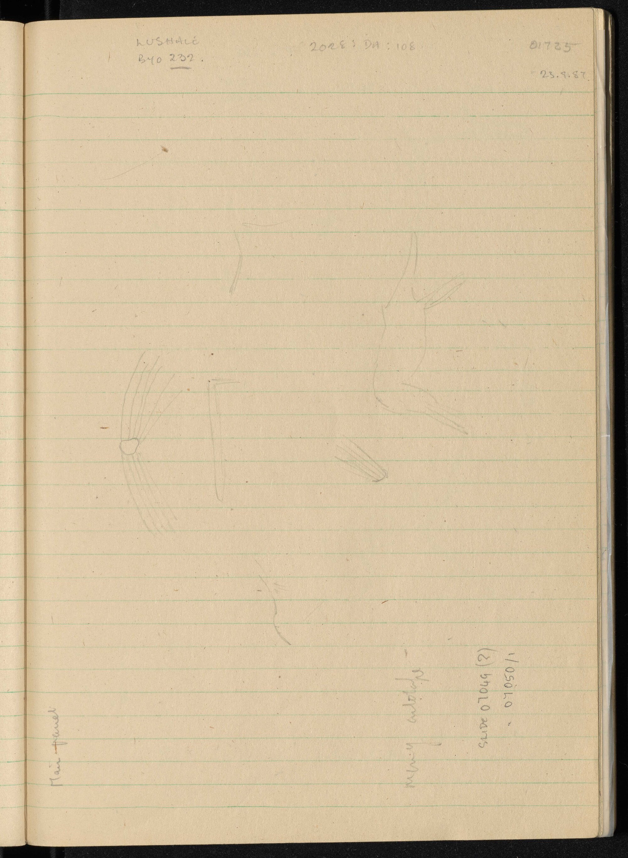 Peter Genge field notes. 01725