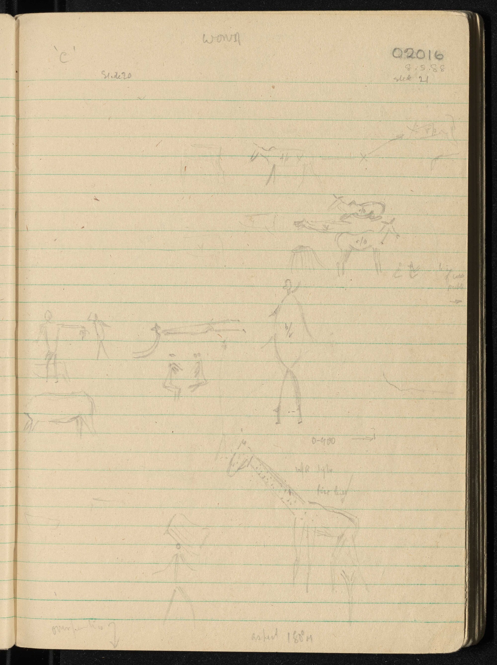 Peter Genge field notes. 02016