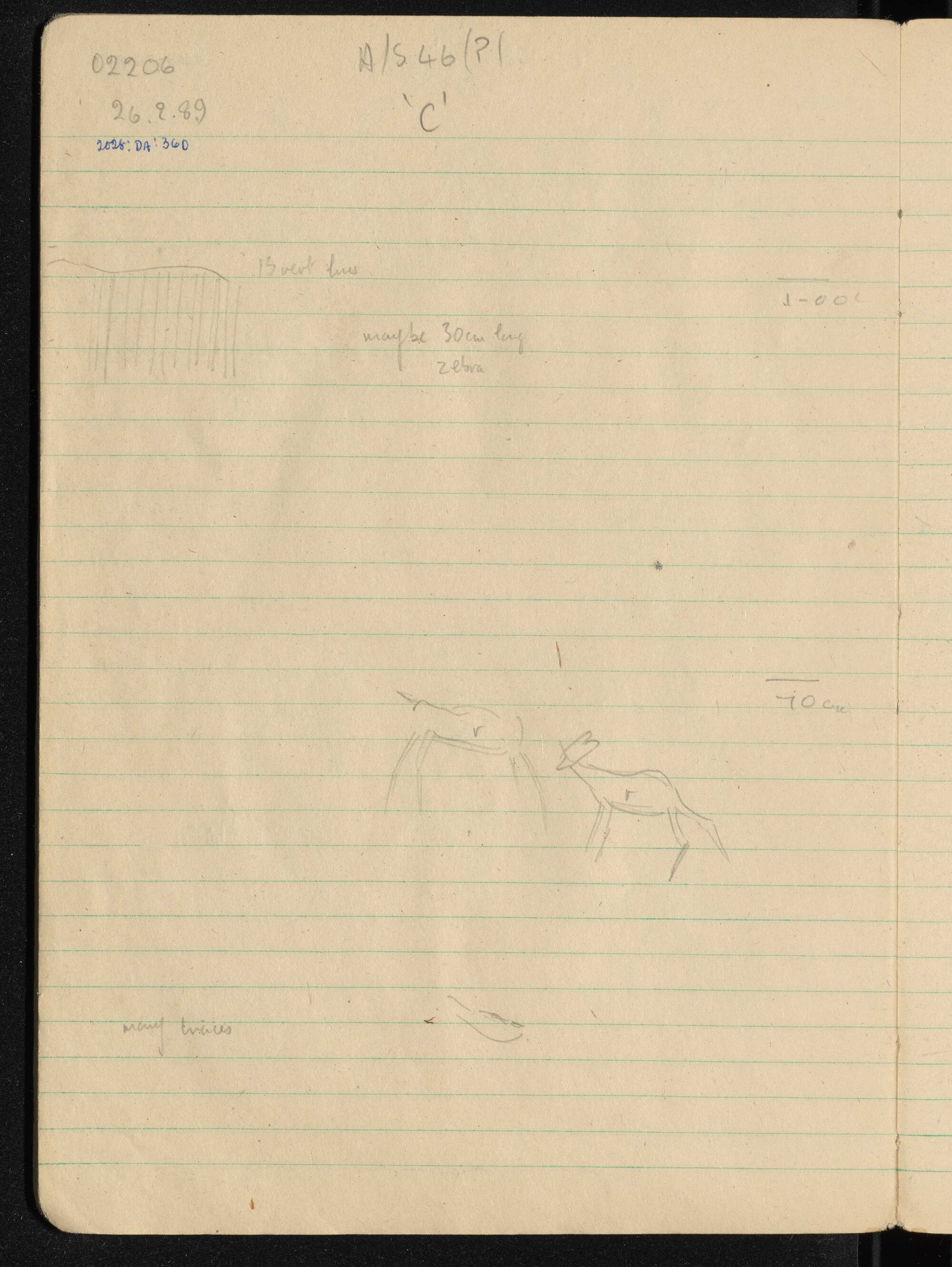 Peter Genge field notes. 02206