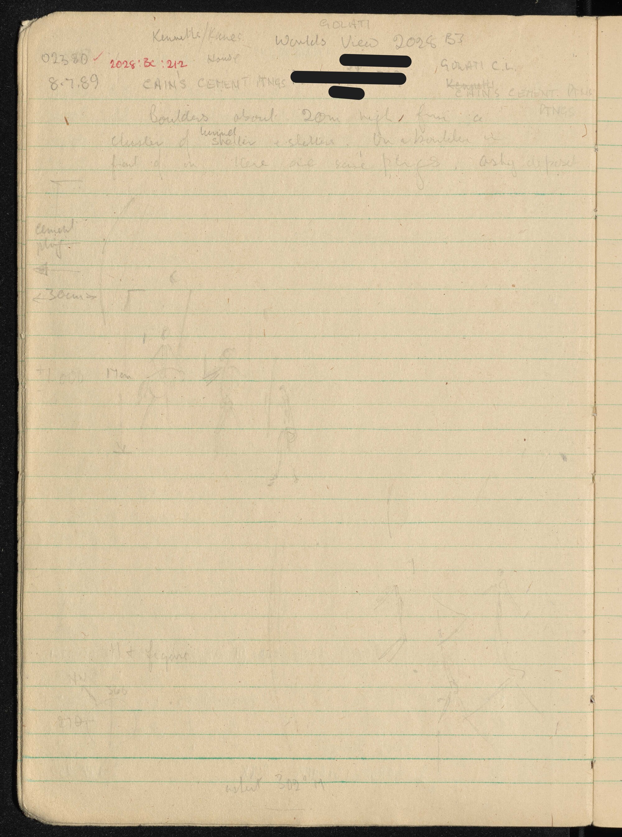 Peter Genge field notes. 02380