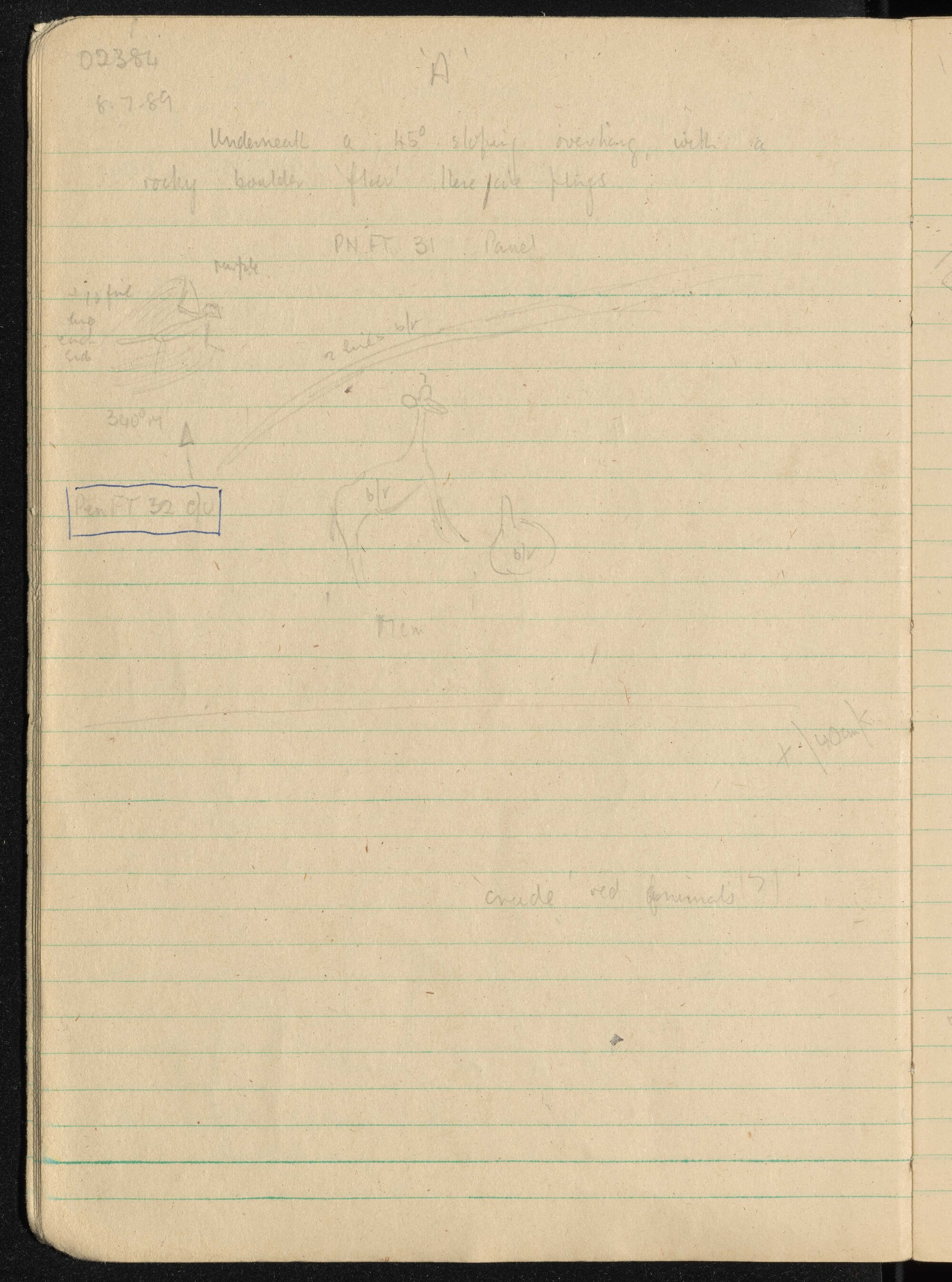 Peter Genge field notes. 02384