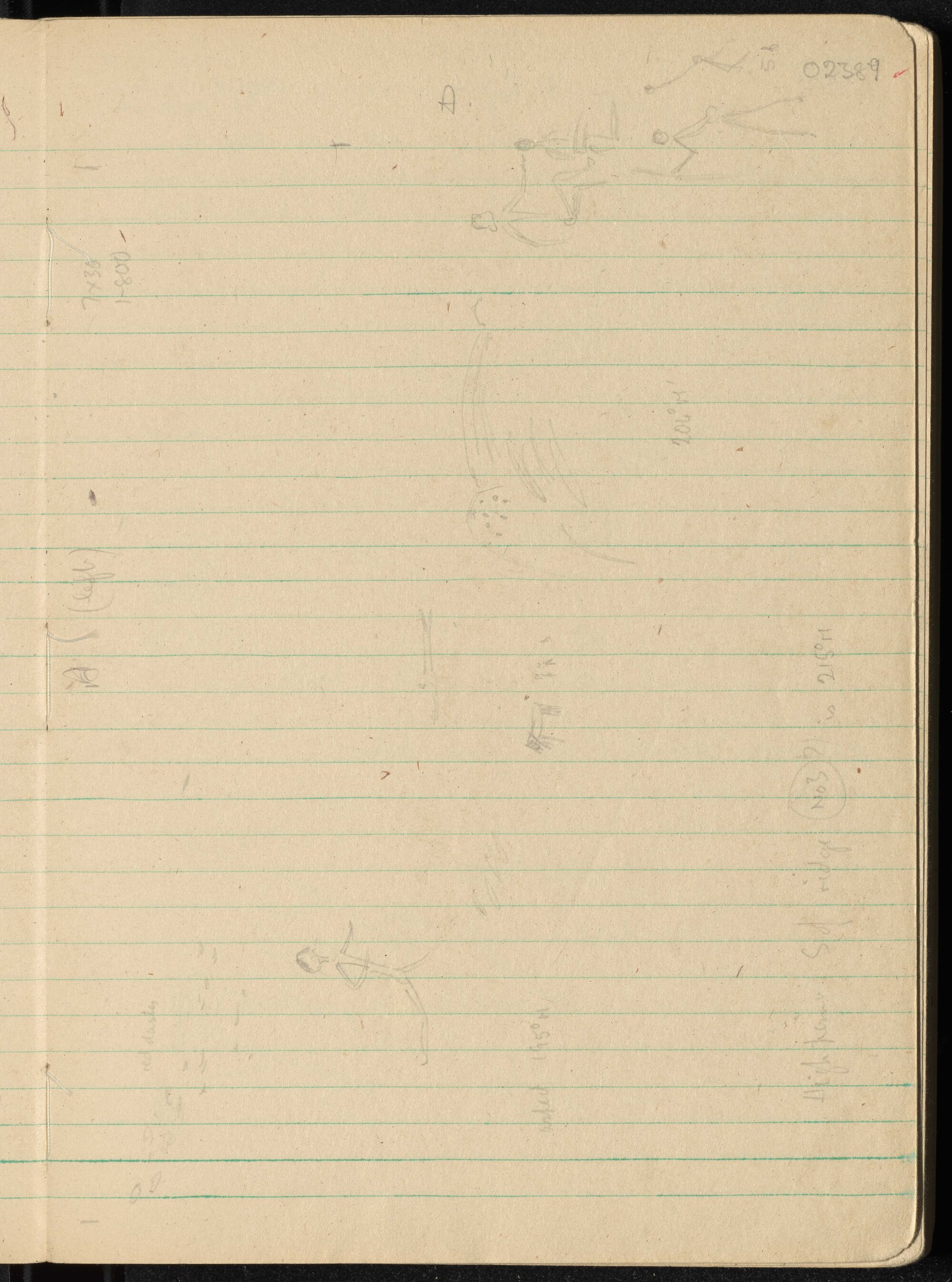Peter Genge field notes. 02389