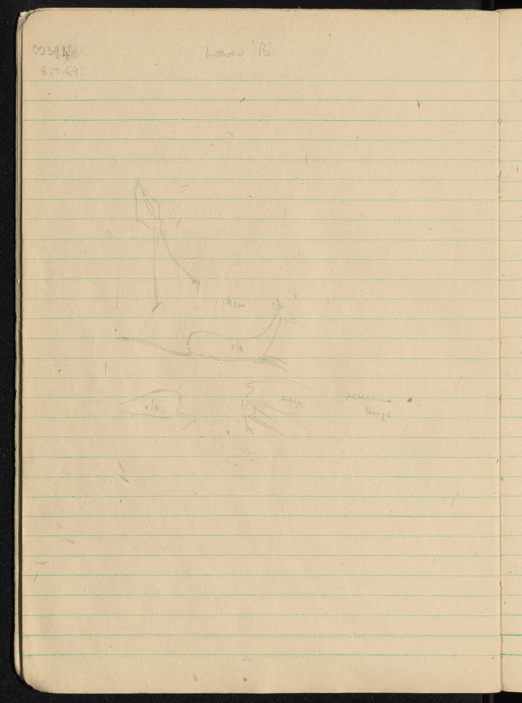 Peter Genge field notes. 02394