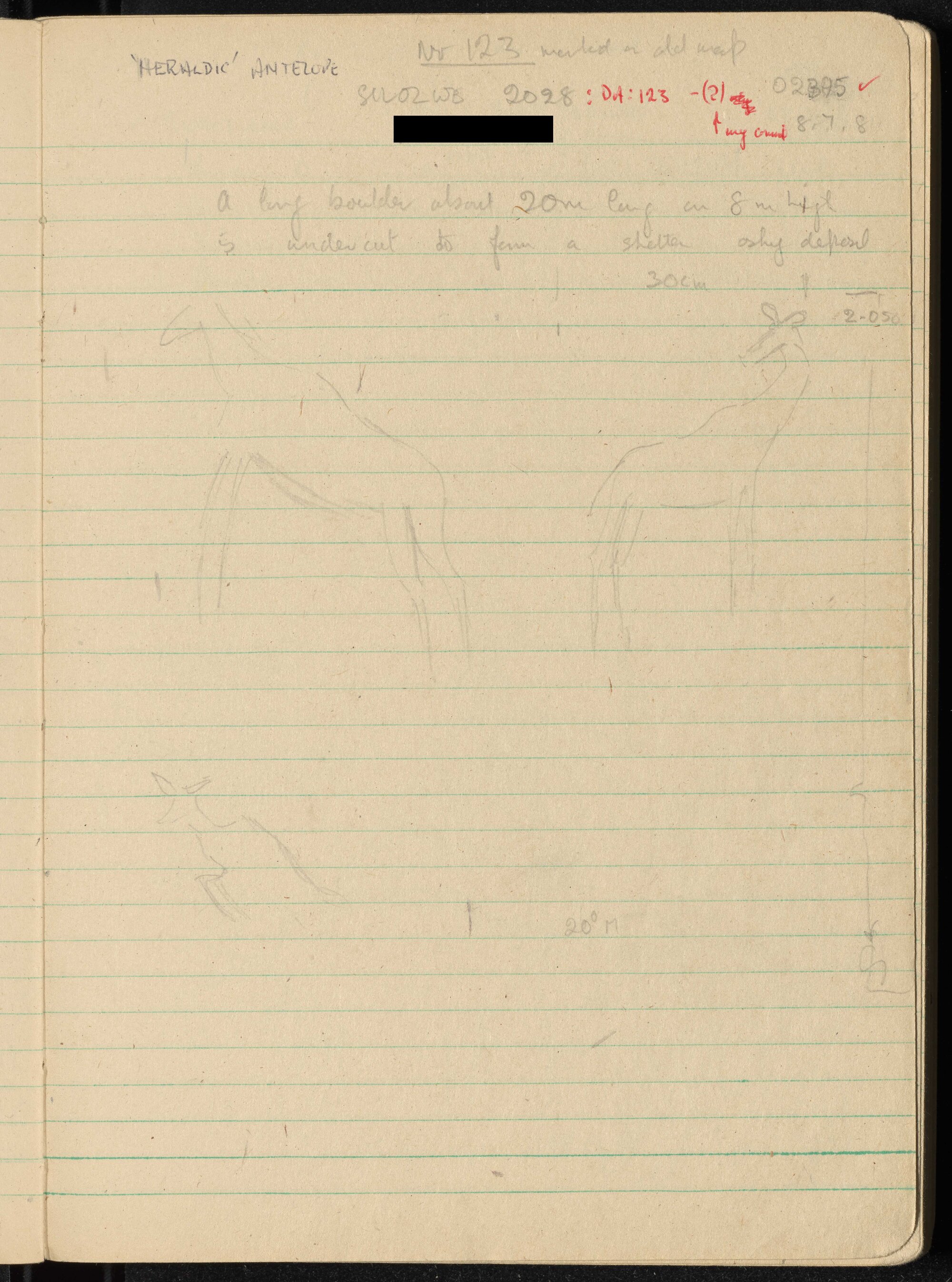 Peter Genge field notes. 02395