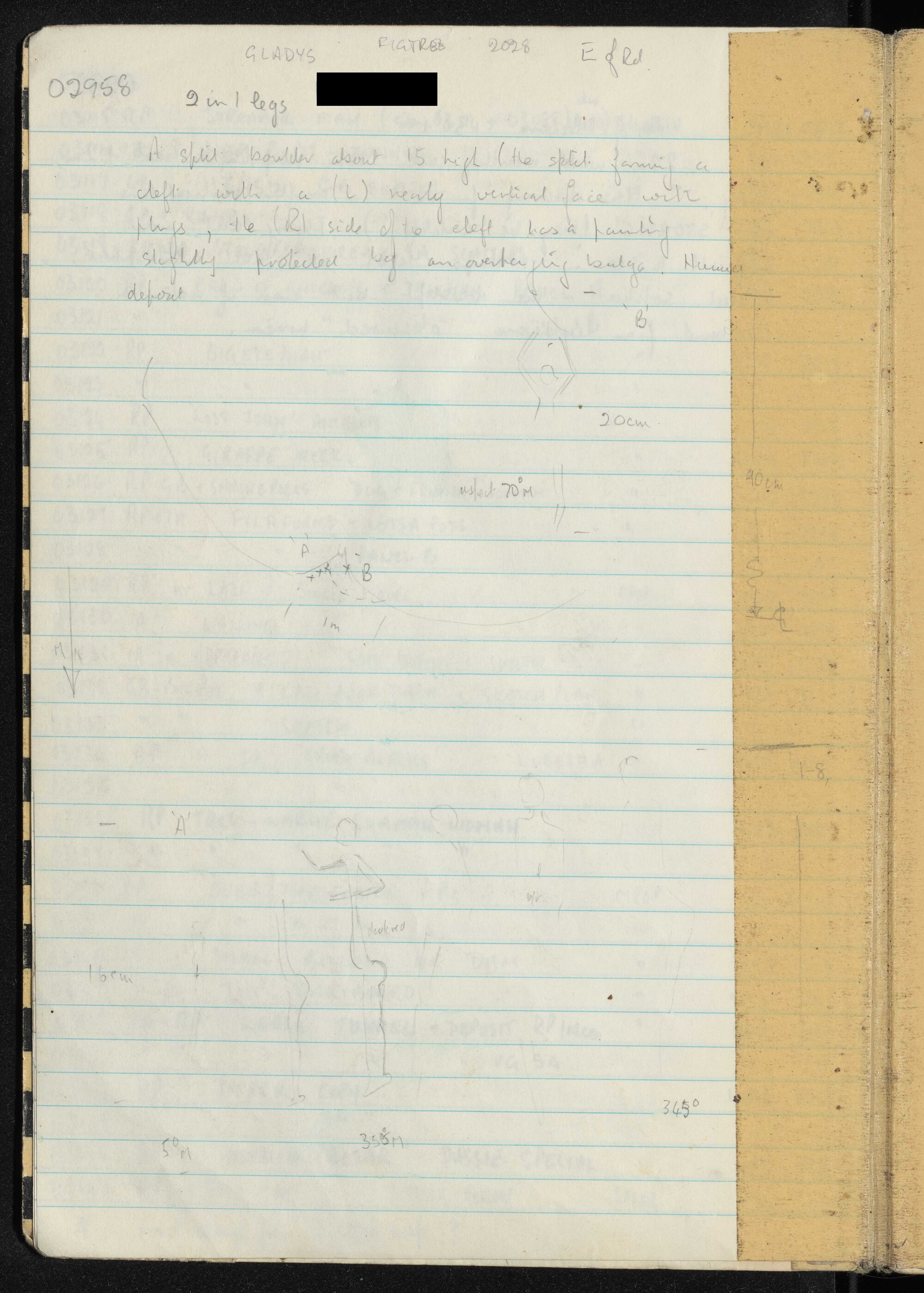 Peter Genge field notes. 02958