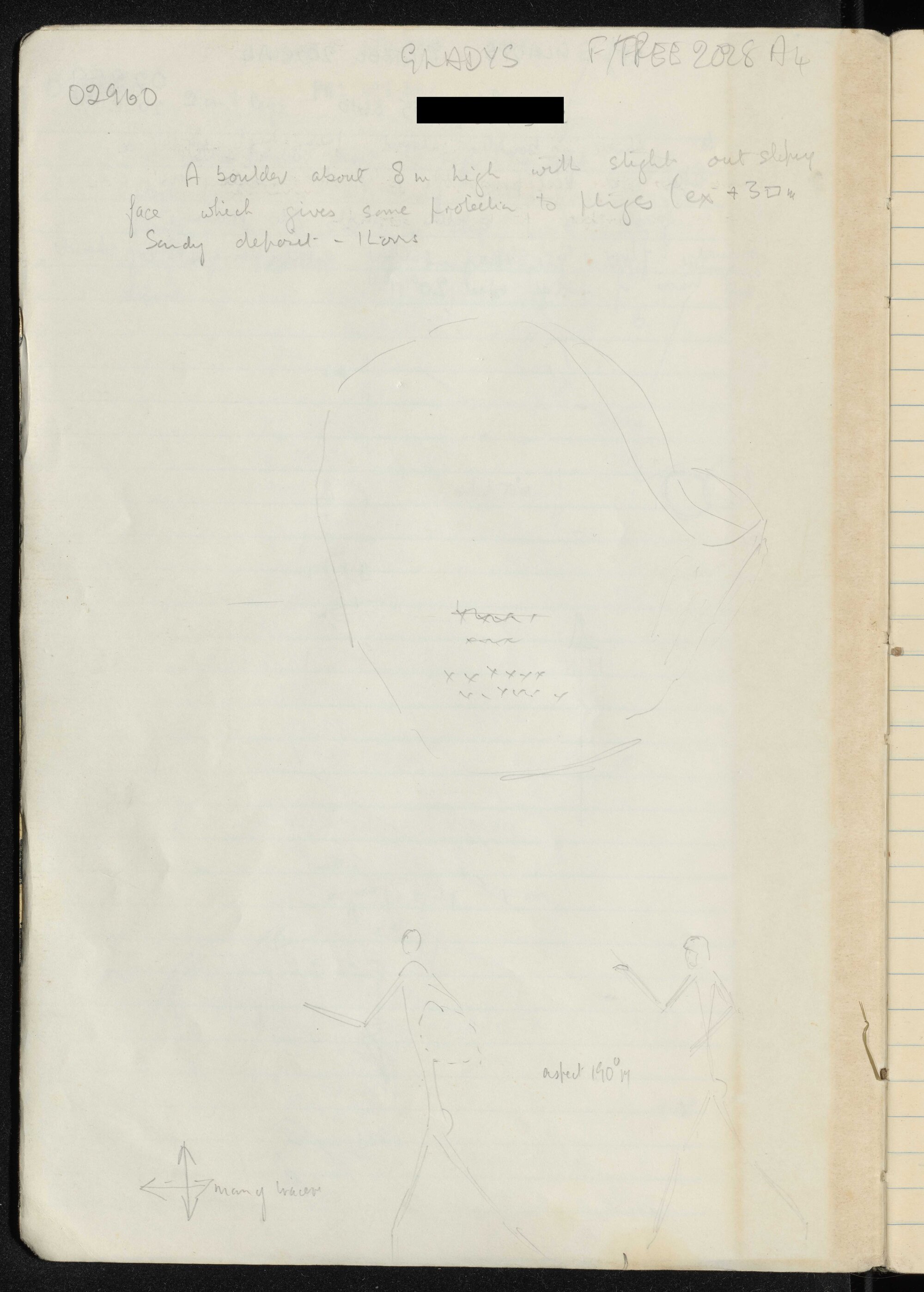 Peter Genge field notes. 02960
