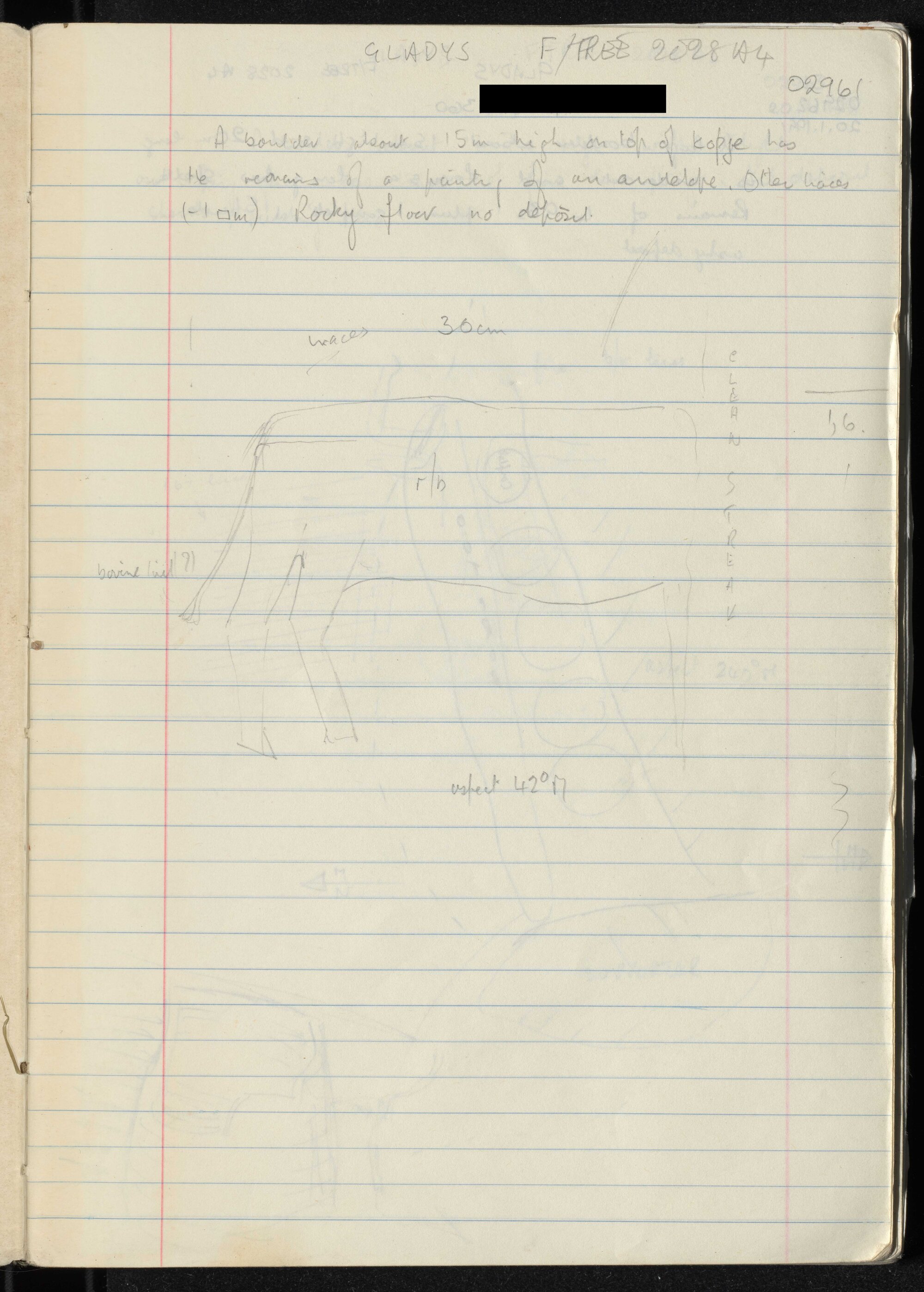 Peter Genge field notes. 02961