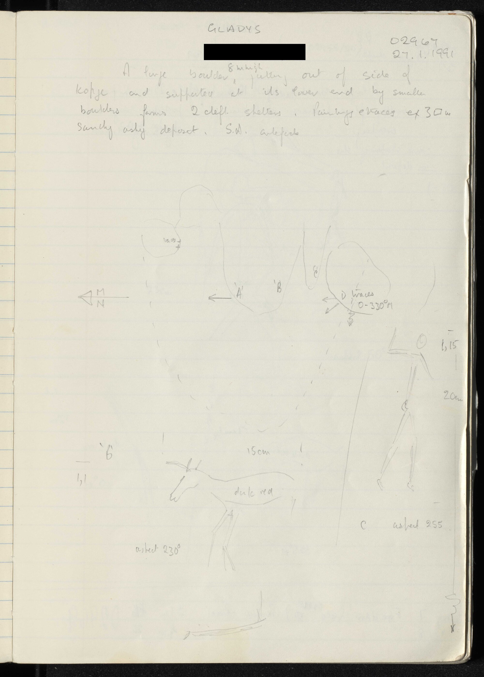Peter Genge field notes. 02967