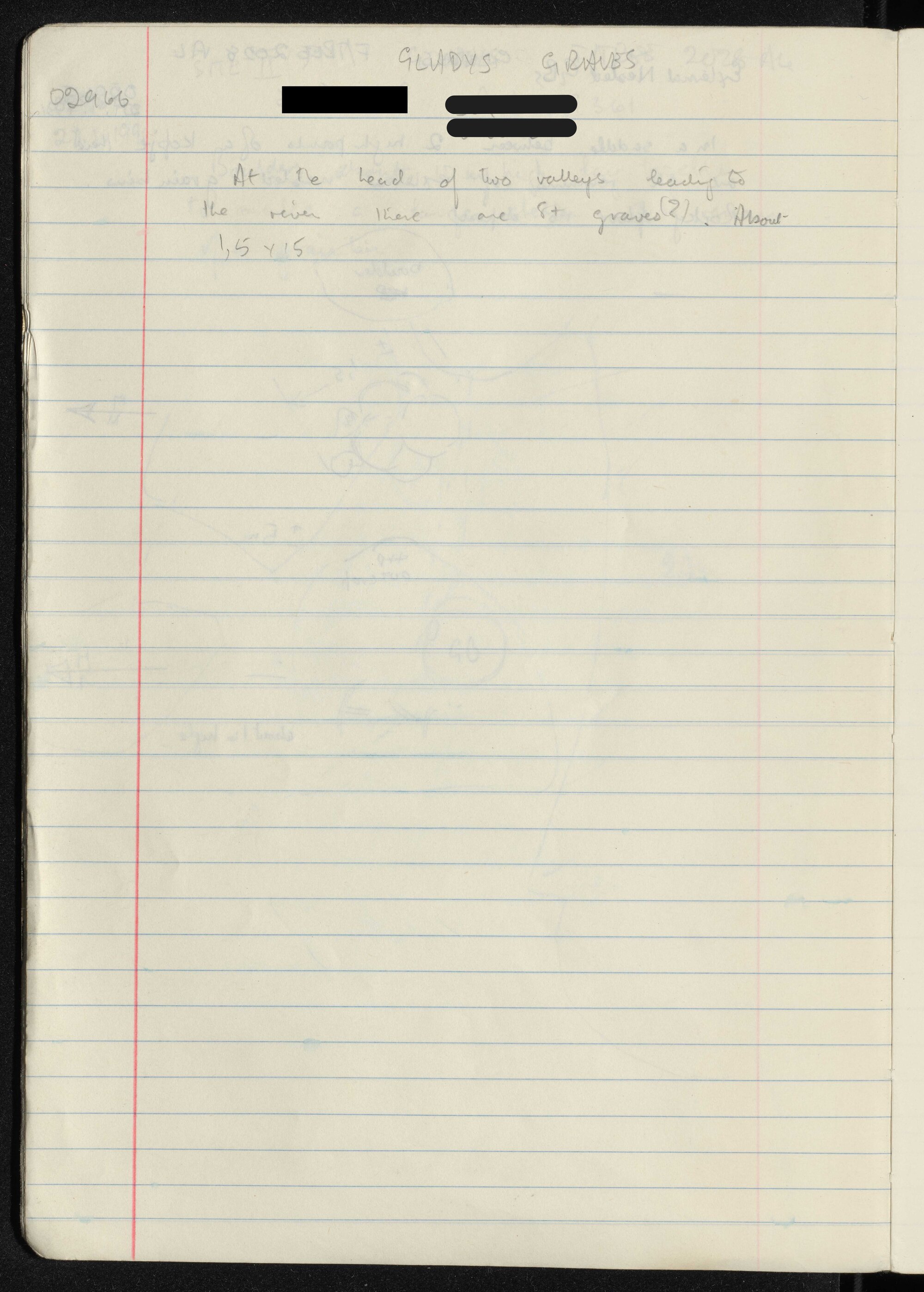 Peter Genge field notes. 02966