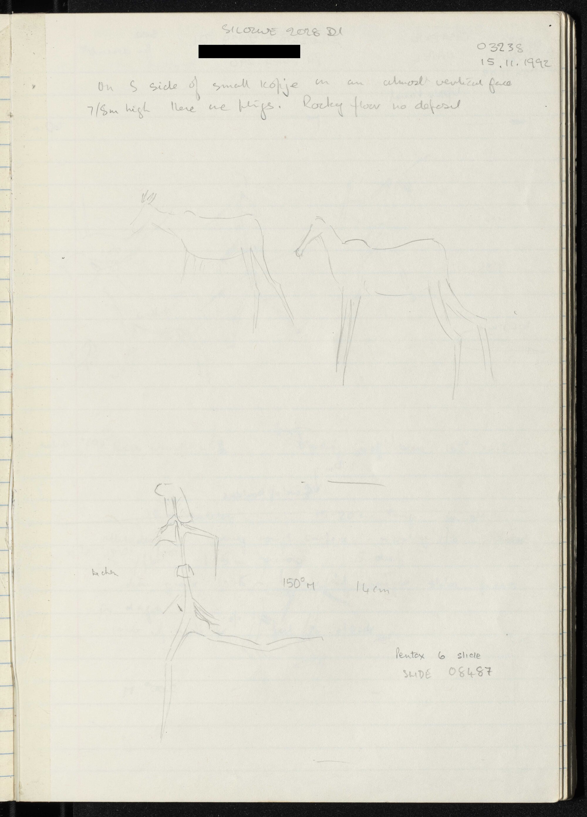 Peter Genge field notes. 03238