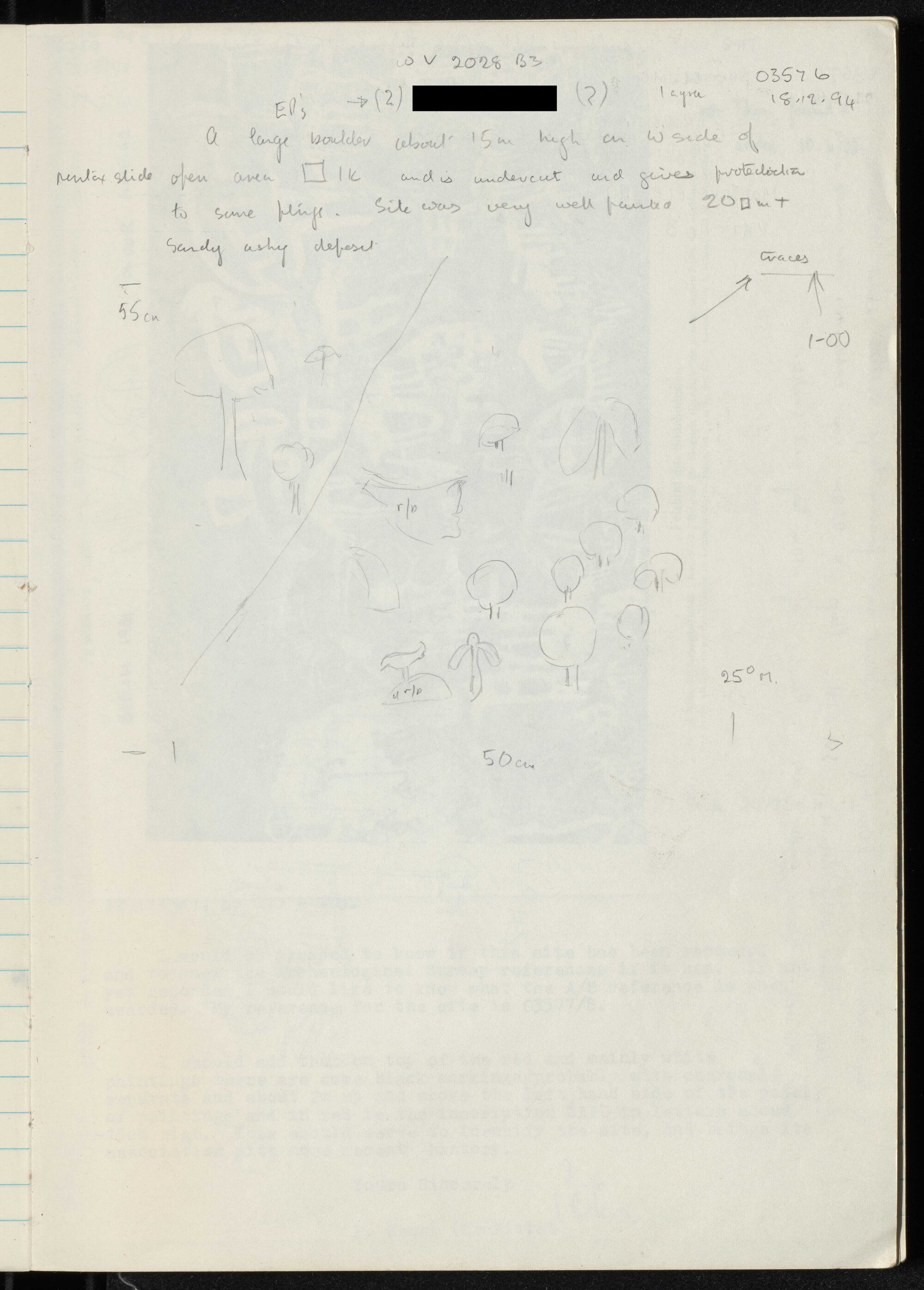 Peter Genge field notes. 03576