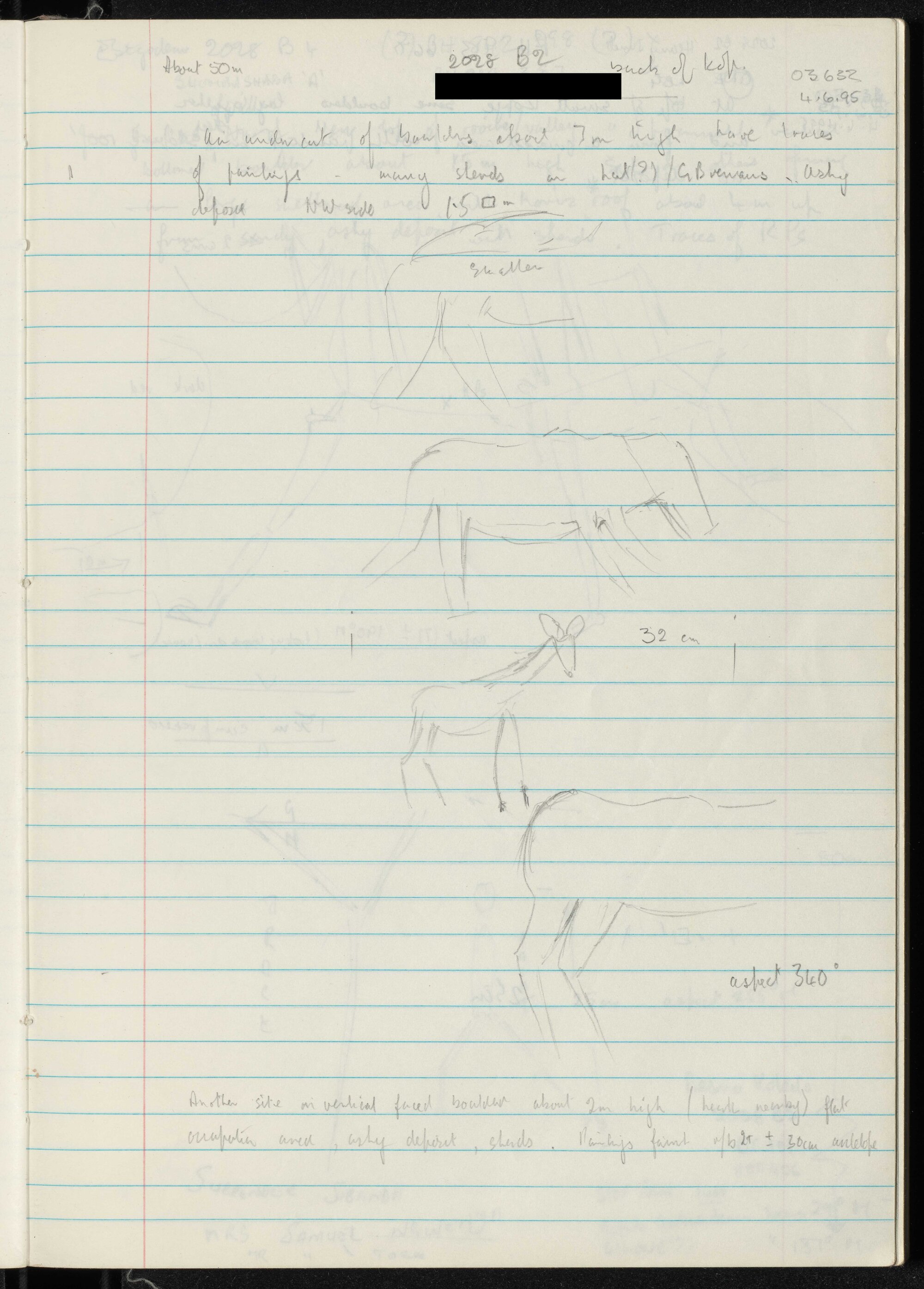 Peter Genge field notes. 03632