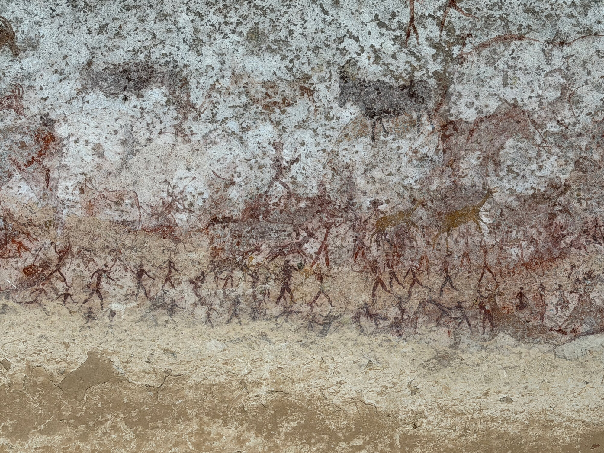 Chavadzimu - 2026-7-13_014