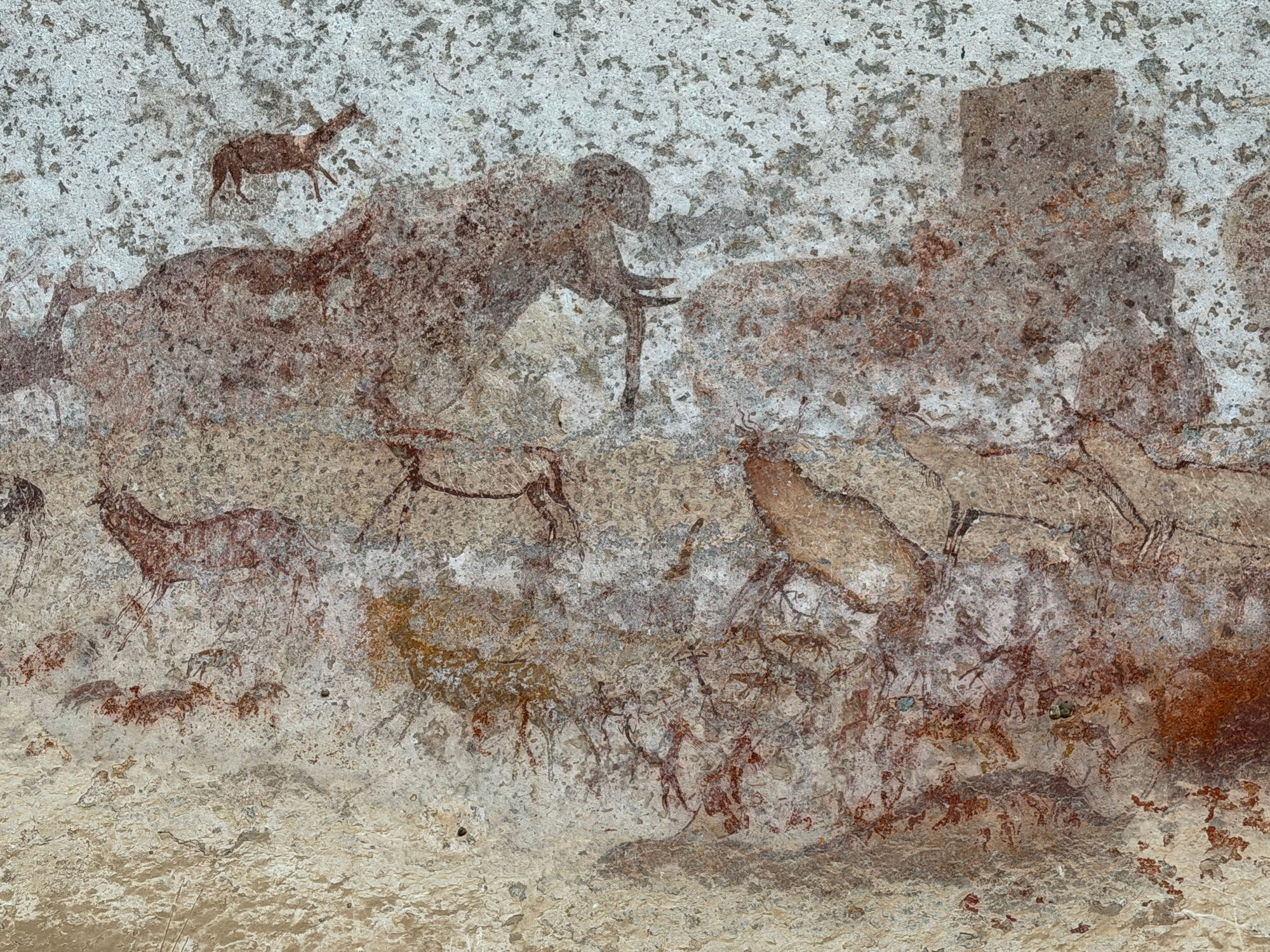 Chavadzimu - 2026-7-13_013