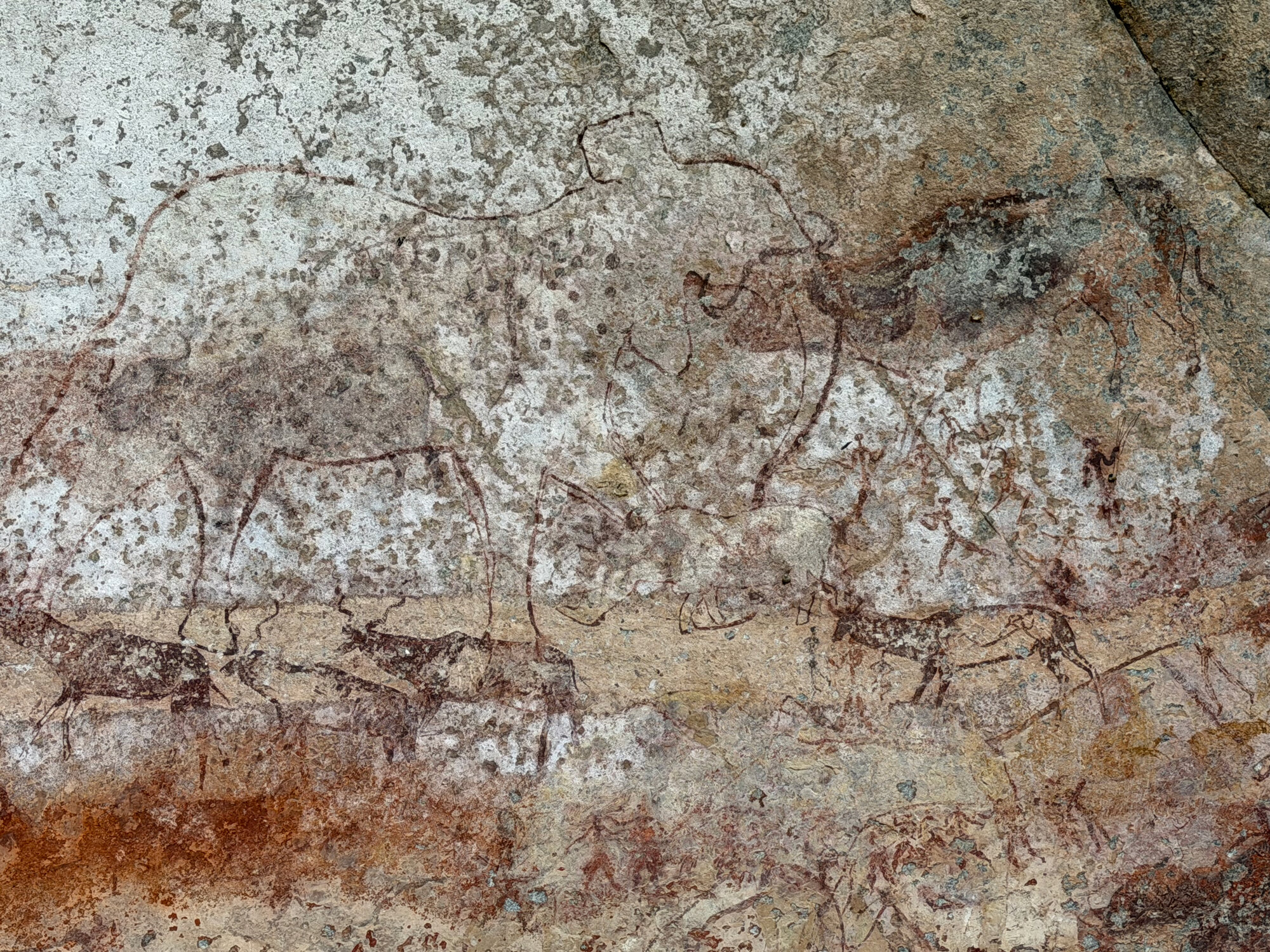 Chavadzimu - 2026-7-13_012