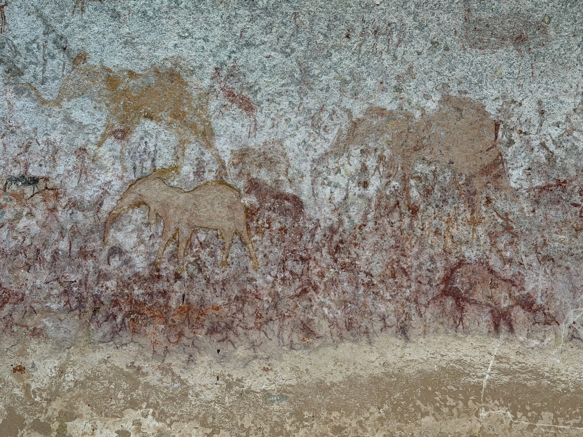 Chavadzimu - 2026-7-13_017