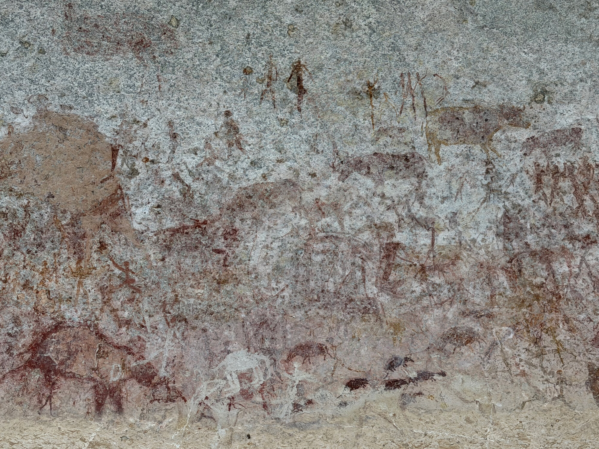 Chavadzimu - 2026-7-13_016