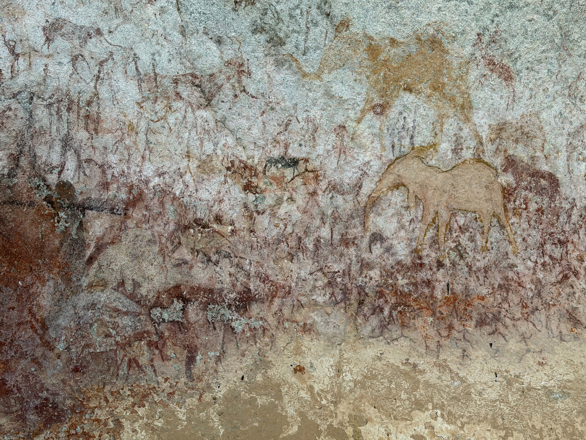 Chavadzimu - 2026-7-13_018