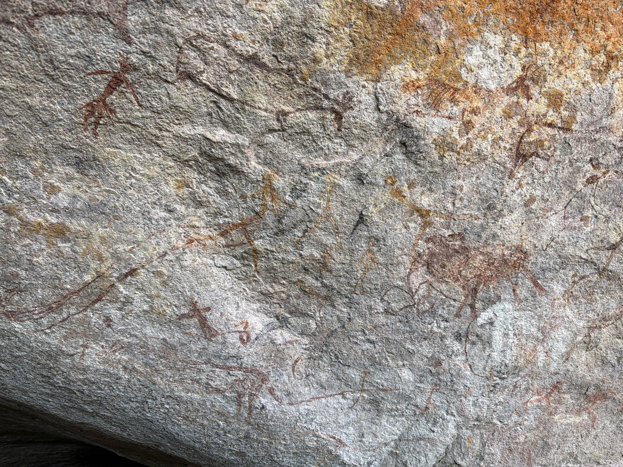 Chikupu Central - 2026-7-14_011