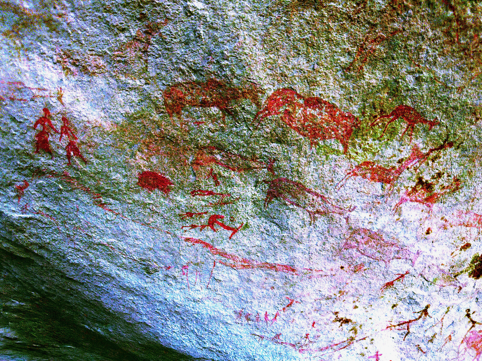Chikupu Central - 2026-7-14_007