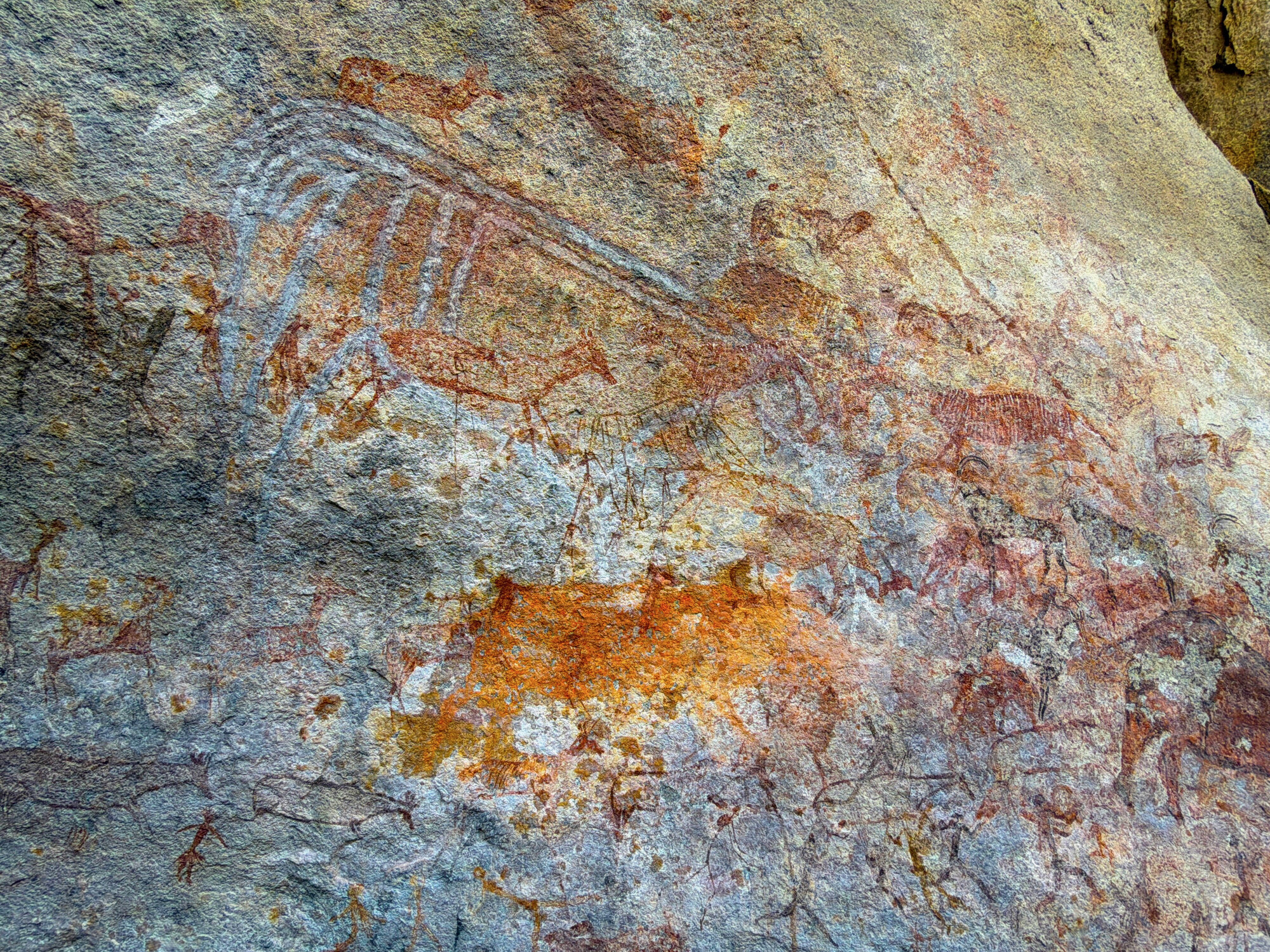 Chikupu Central - 2026-7-14_014
