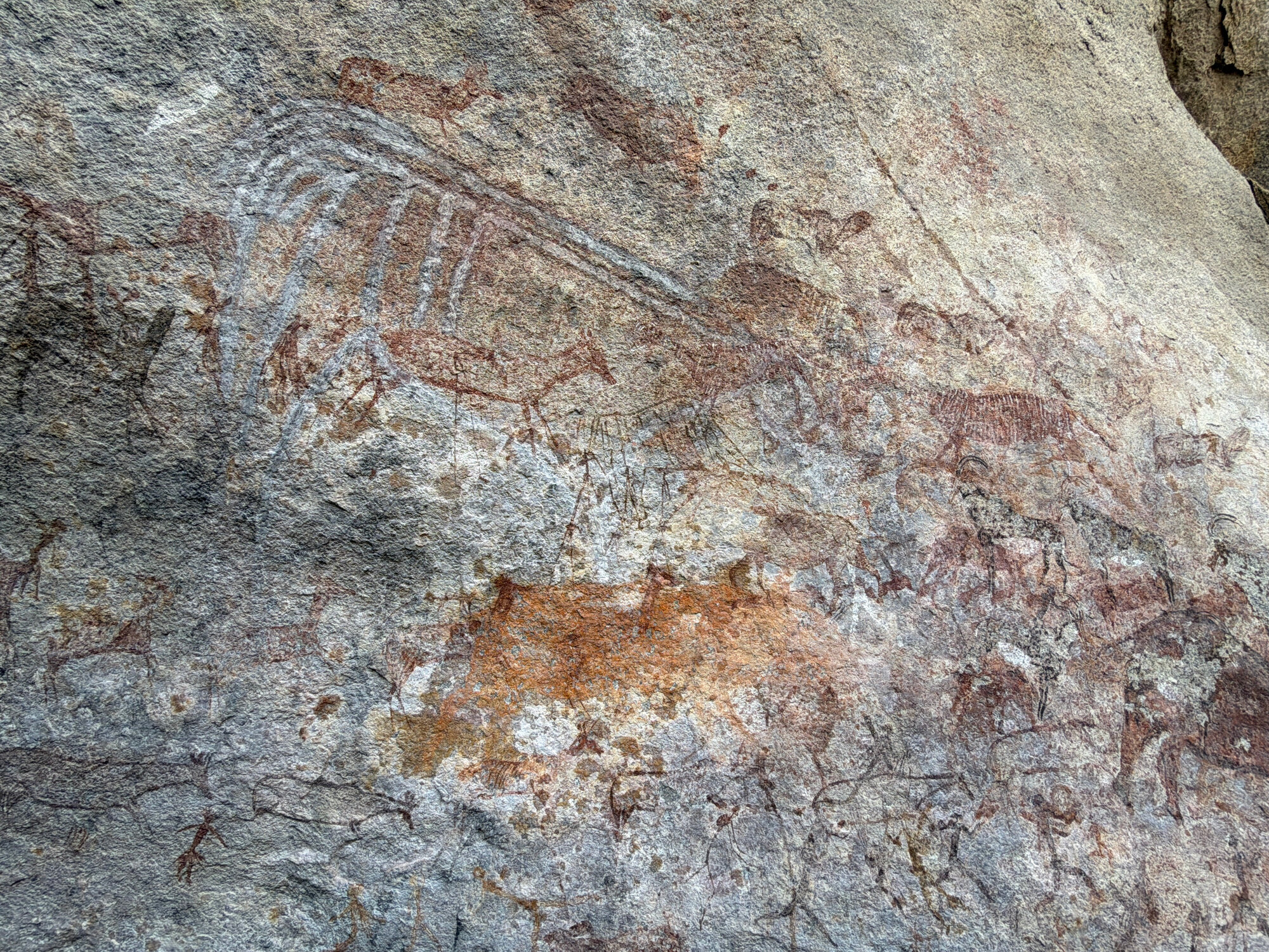 Chikupu Central - 2026-7-14_013
