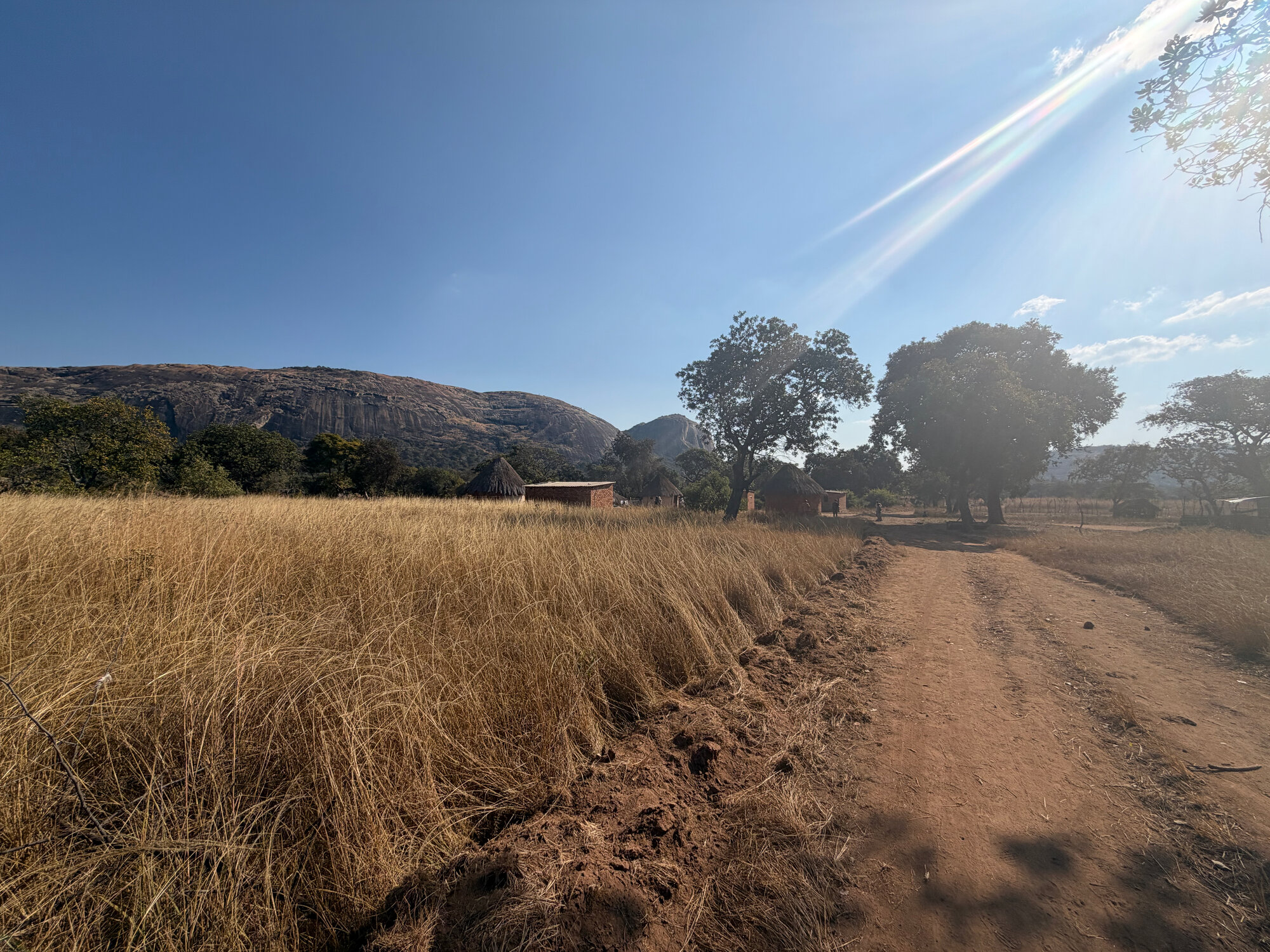 Chikupu Community Site - 2026-7-14_001