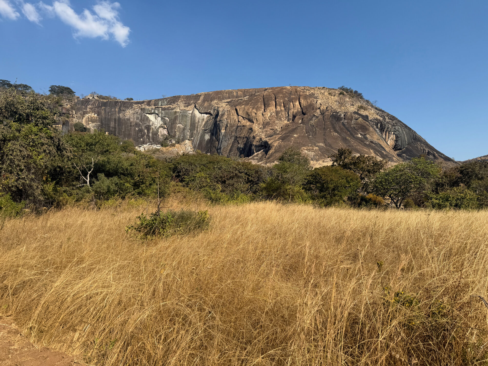 Chikupu Community Site - 2026-7-14_003